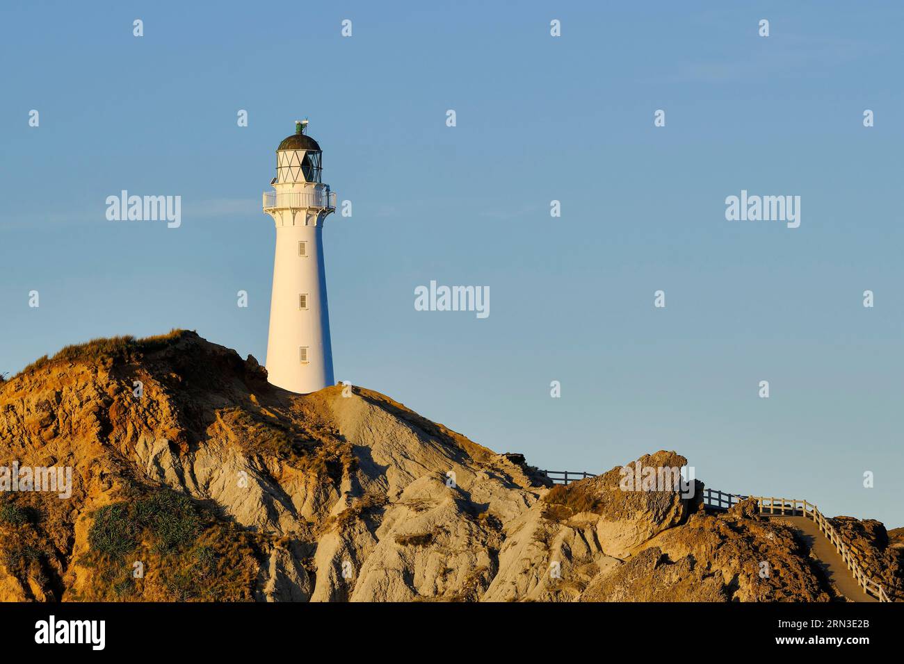 Nuova Zelanda, Isola del Nord, zona di Wellington, costa di Wairarapa, Castlepoint (Castle Point), faro di Castlepoint Foto Stock
