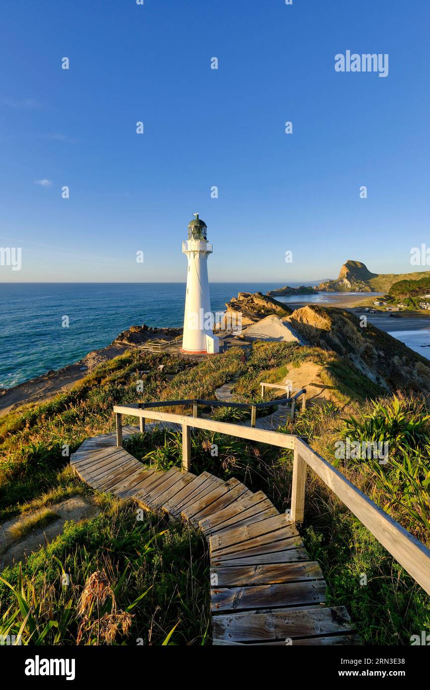 Nuova Zelanda, Isola del Nord, zona di Wellington, costa di Wairarapa, Castlepoint (Castle Point), faro di Castlepoint Foto Stock