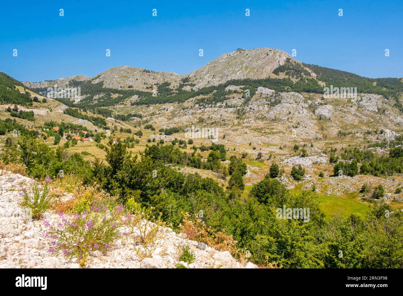 Montenegro, regione centrale, Parco Nazionale di Lovcen Foto Stock