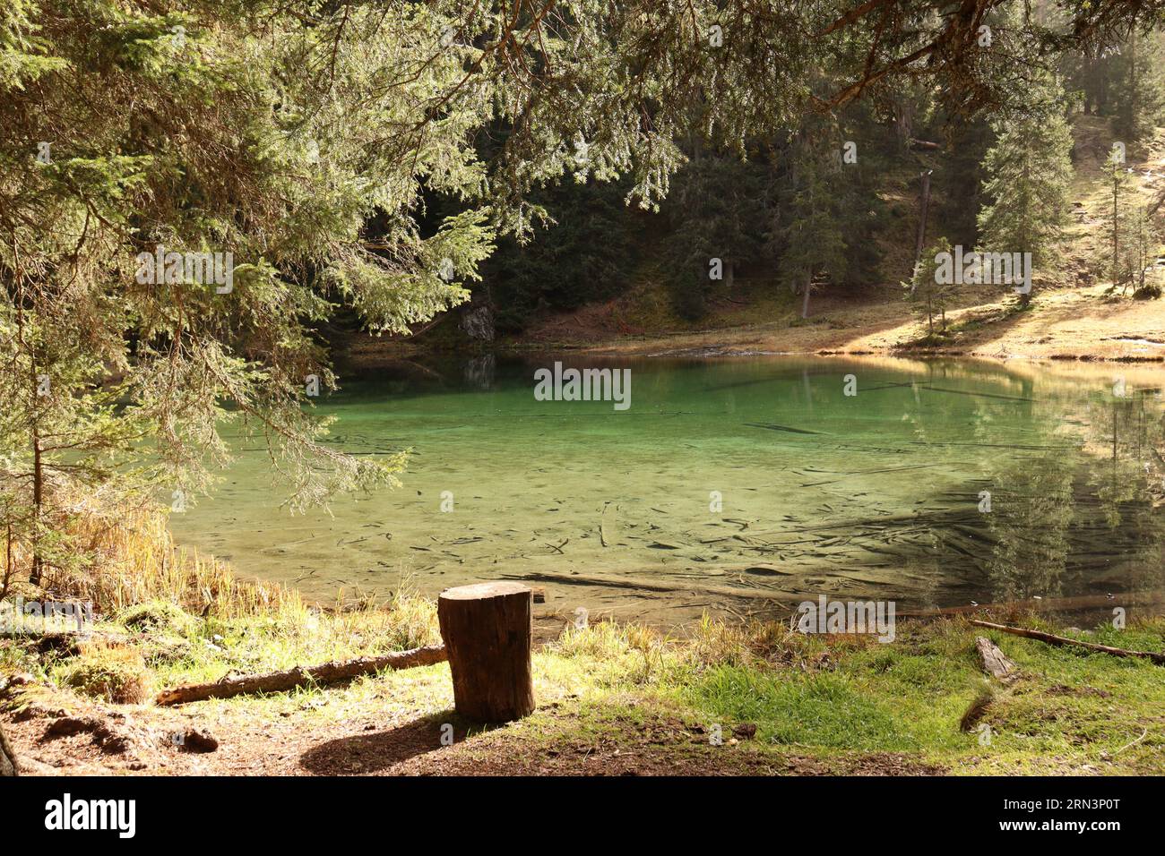 Un bel lago verde vicino ad Arosa, in Svizzera Foto Stock