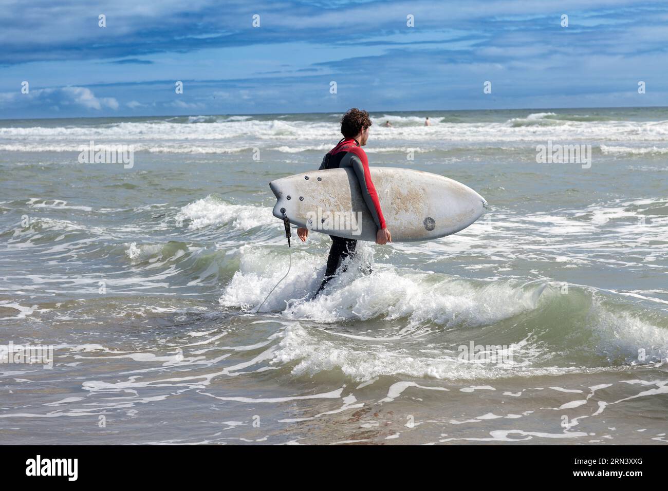 Surfista trasportando tavole da surf e salendo in acqua a Wembury Beach , Cornwall, Regno Unito Foto Stock