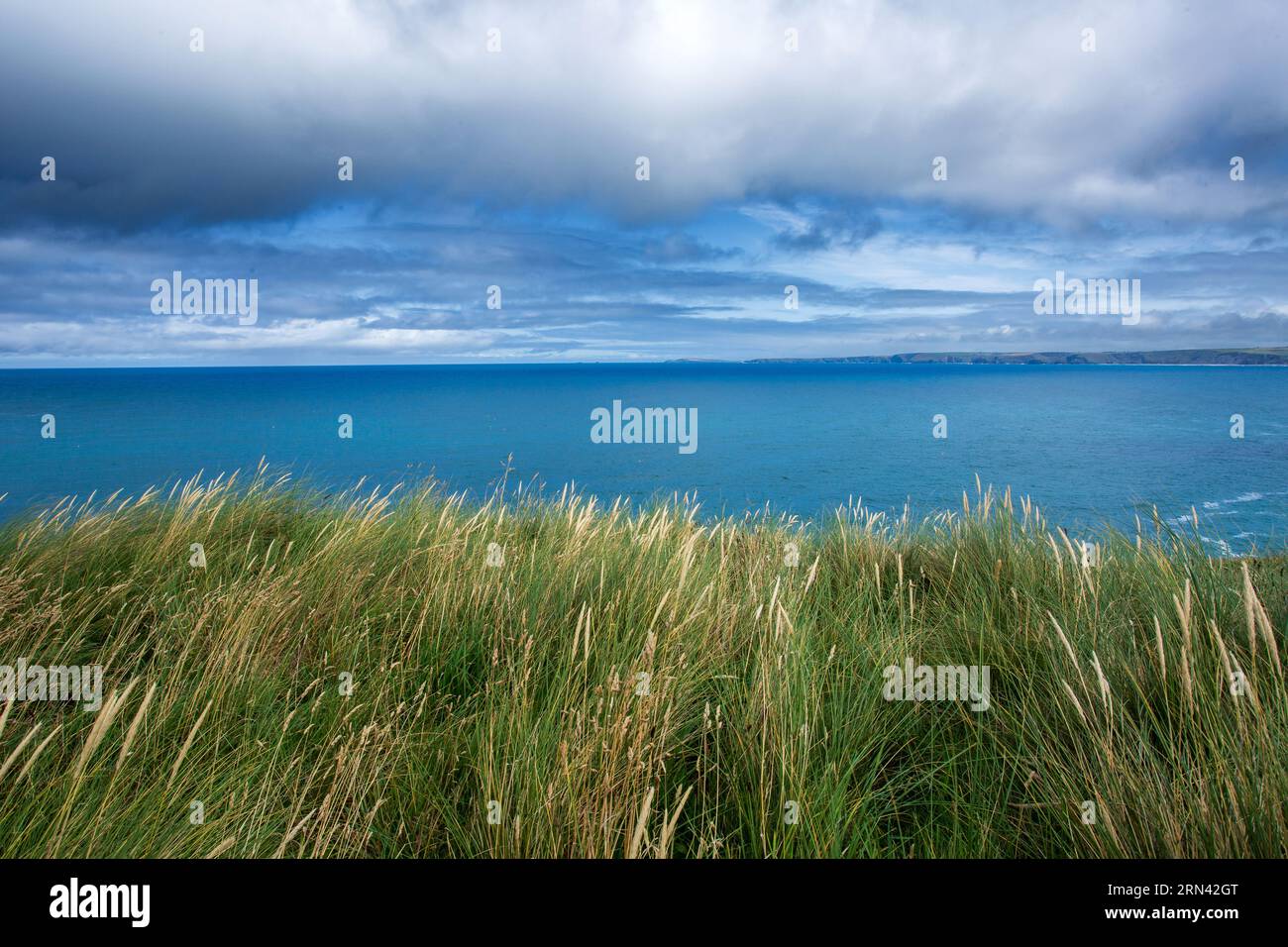 Vista sull'erba di Marram, Ammophilia arenaria, sulle dune di sabbia di Newquay, Cornovaglia, Regno Unito Foto Stock