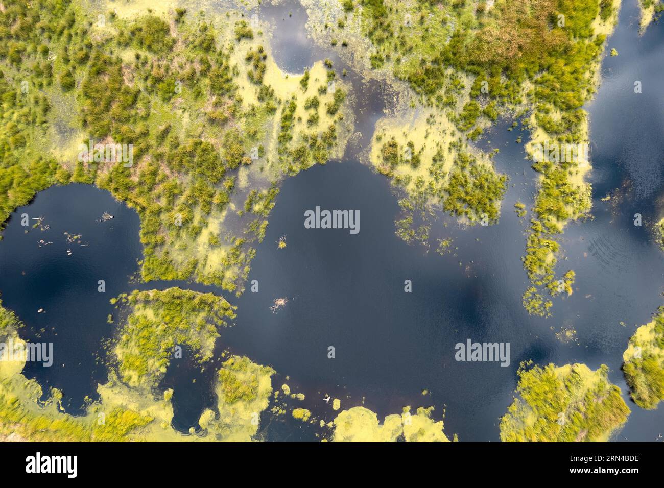 Fotografia aerea della brughiera, area di rewetting Vreeser Wiesen in Emsland, fotografia con droni, bassa Sassonia, Germania, Europa Foto Stock