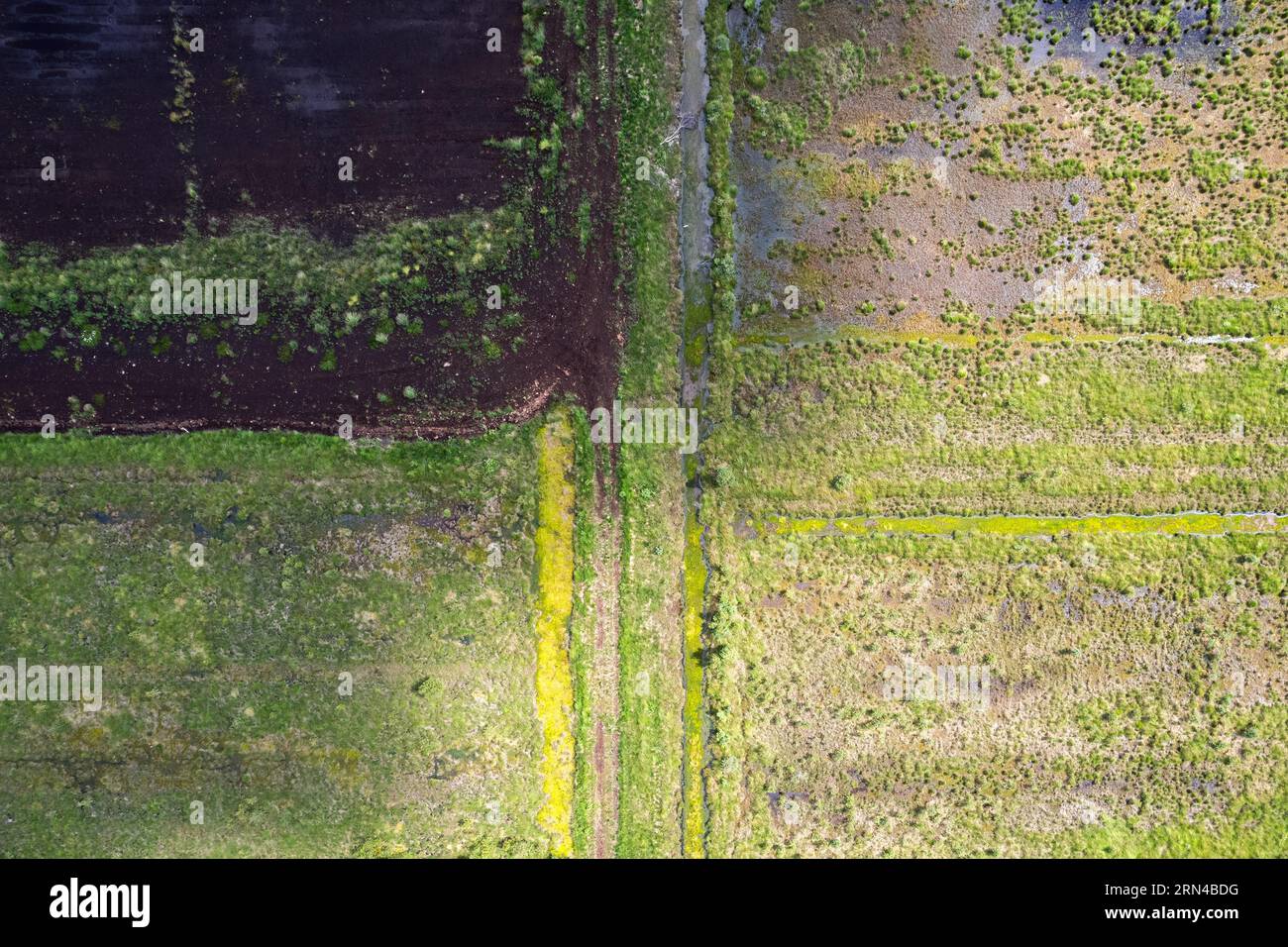 Fotografia aerea della brughiera, area di riumidificazione della dose Esterweger a Emsland, fotografia con droni, bassa Sassonia, Germania Foto Stock