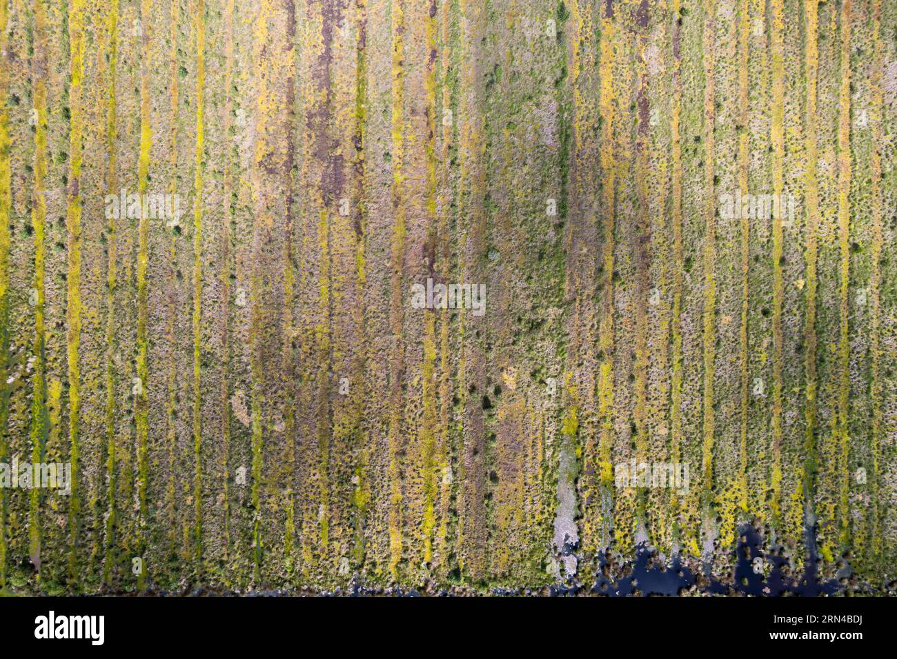 Fotografia aerea della brughiera, area di riumidificazione della dose Esterweger a Emsland, fotografia con droni, bassa Sassonia, Germania Foto Stock