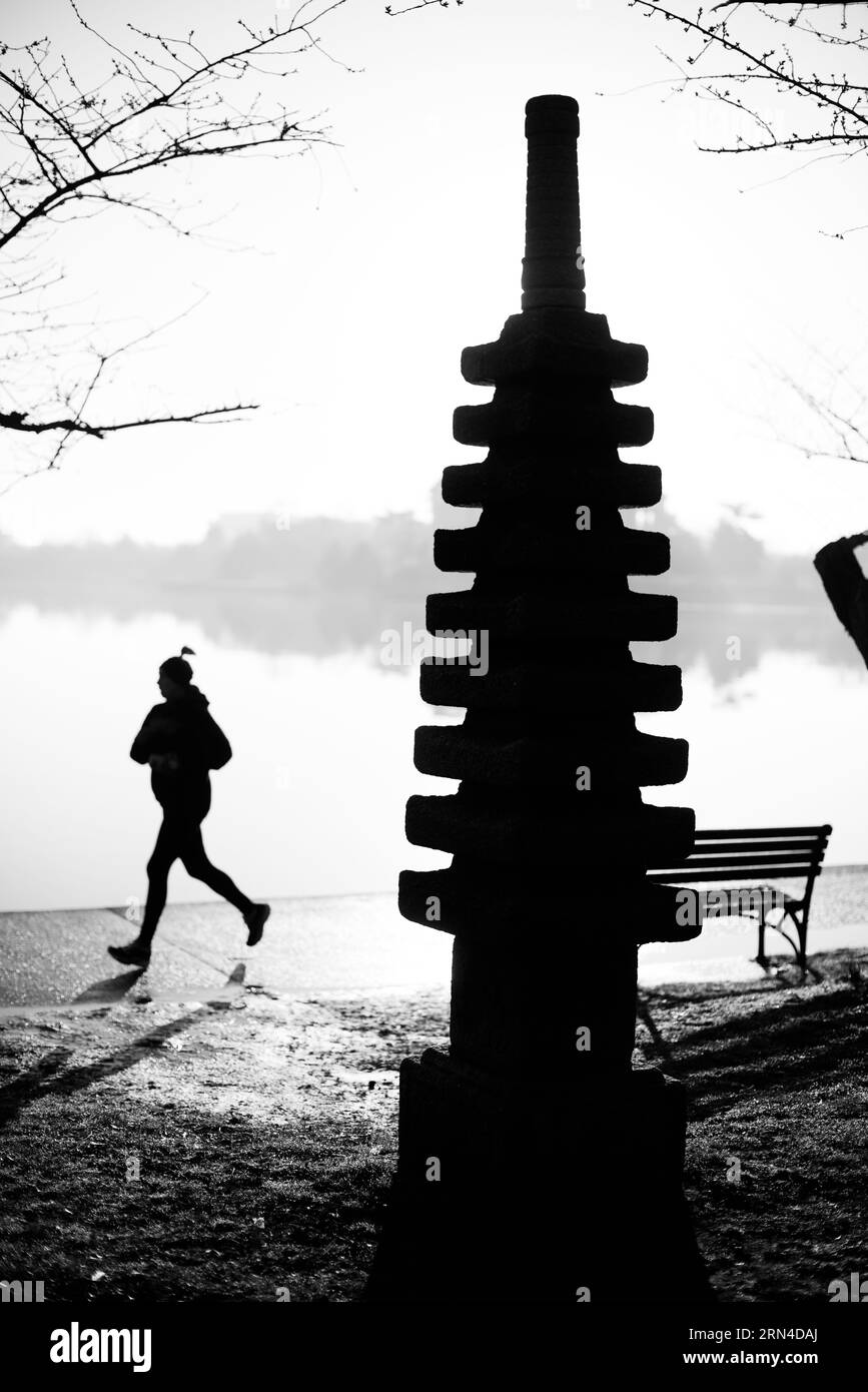 Pagoda giapponese, bacino delle maree, Washington, D.C. Fotografia in bianco e nero che mostra la pagoda sagomata contro l'acqua, con una persona che corre sullo sfondo. Foto Stock