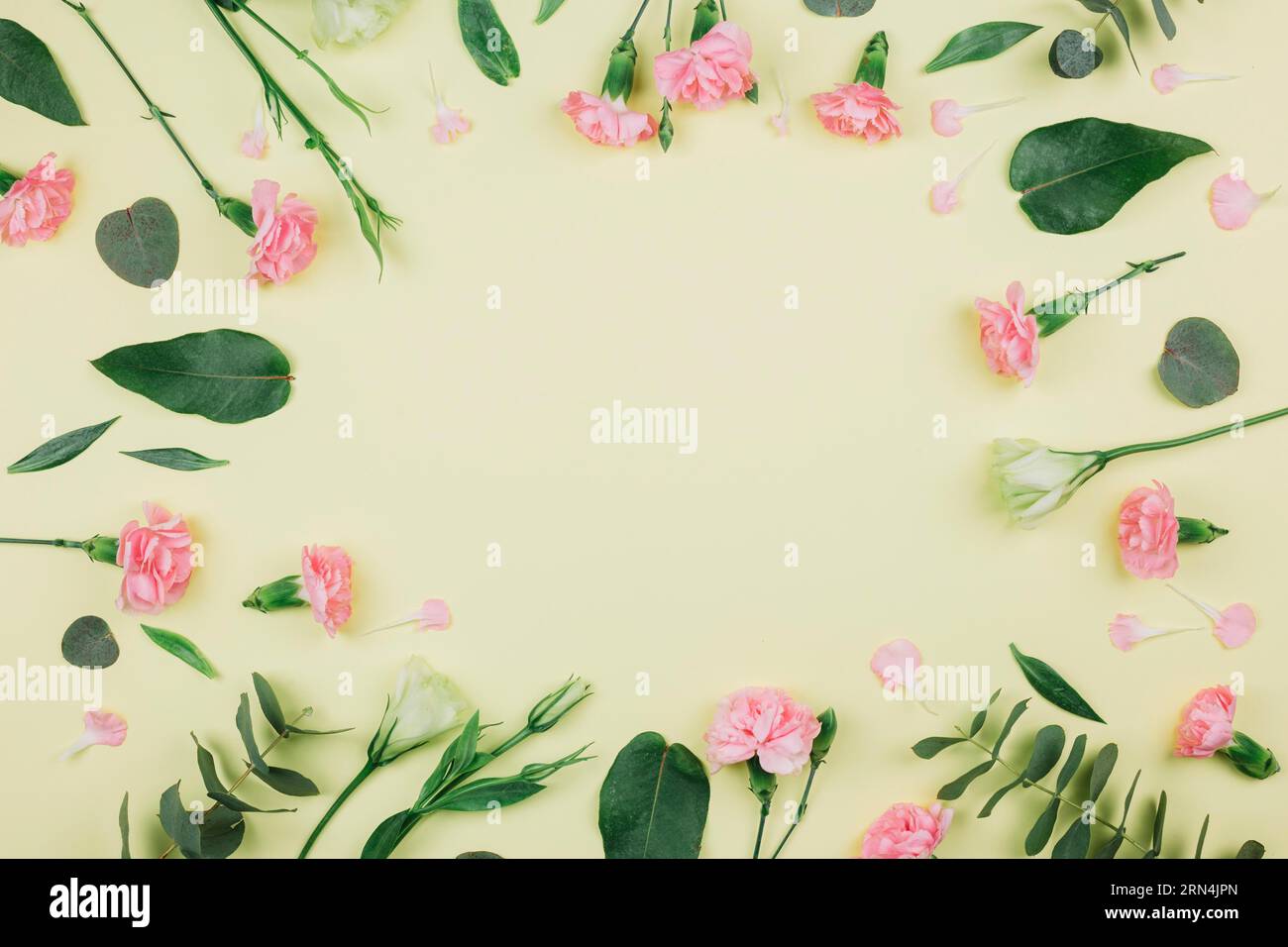 Eucalipto verde (populus) foglie di garofani rosa eustoma fiori con sfondo giallo centrale Foto Stock