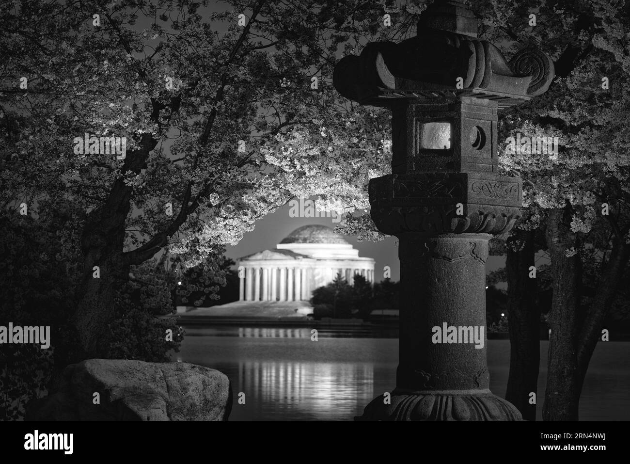Jefferson Memorial e lanterna, Washington, D.C. fotografia in bianco e nero che mostra la lanterna in primo piano e il monumento attraverso il bacino delle Tidal, incorniciato da fiori di ciliegio. Foto Stock