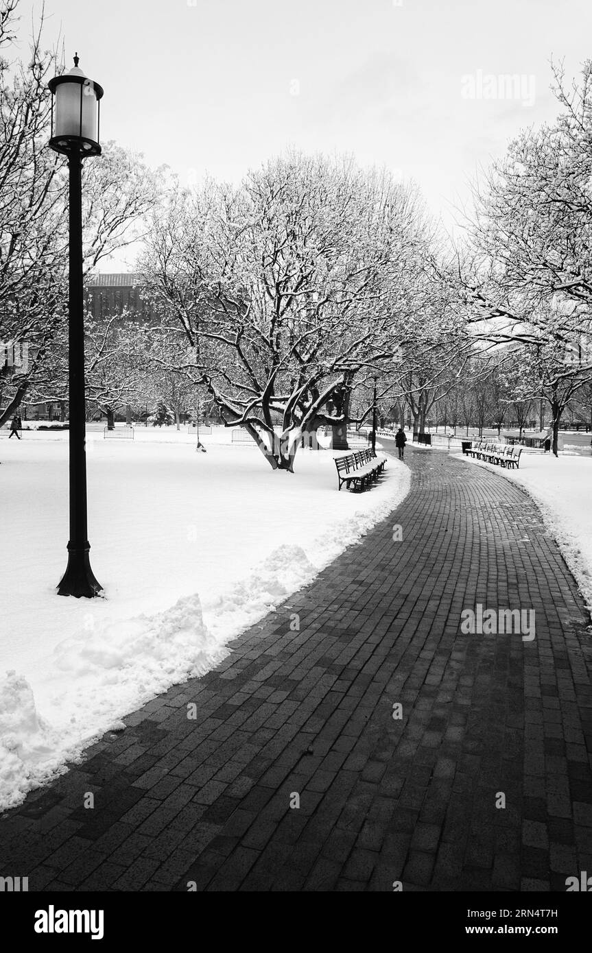Snowy Path, Lafayette Park, Washington DC - foto in bianco e nero | WASHINGTON D.C., Stati Uniti - Un percorso in mattoni puliti curva attraverso il Lafayette Park coperto di neve, i suoi alberi e le panchine ricoperte di bianco appena a nord della Casa Bianca. Il parco si trova diagonalmente di fronte alla residenza presidenziale ed è sede della statua del Marchese de Lafayette e di altri tre monumenti della Guerra d'indipendenza americana ai suoi angoli. Questa vista in bianco e nero cattura una nevicata rara nella capitale della nazione. Foto Stock