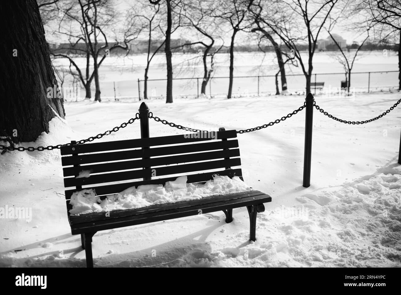 Panchina innevata, bacino di marea, Washington, D.C. la fotografia in bianco e nero mostra la panchina e il paesaggio circostante ricoperti di neve, con il Jefferson Memorial visibile in lontananza. Foto Stock