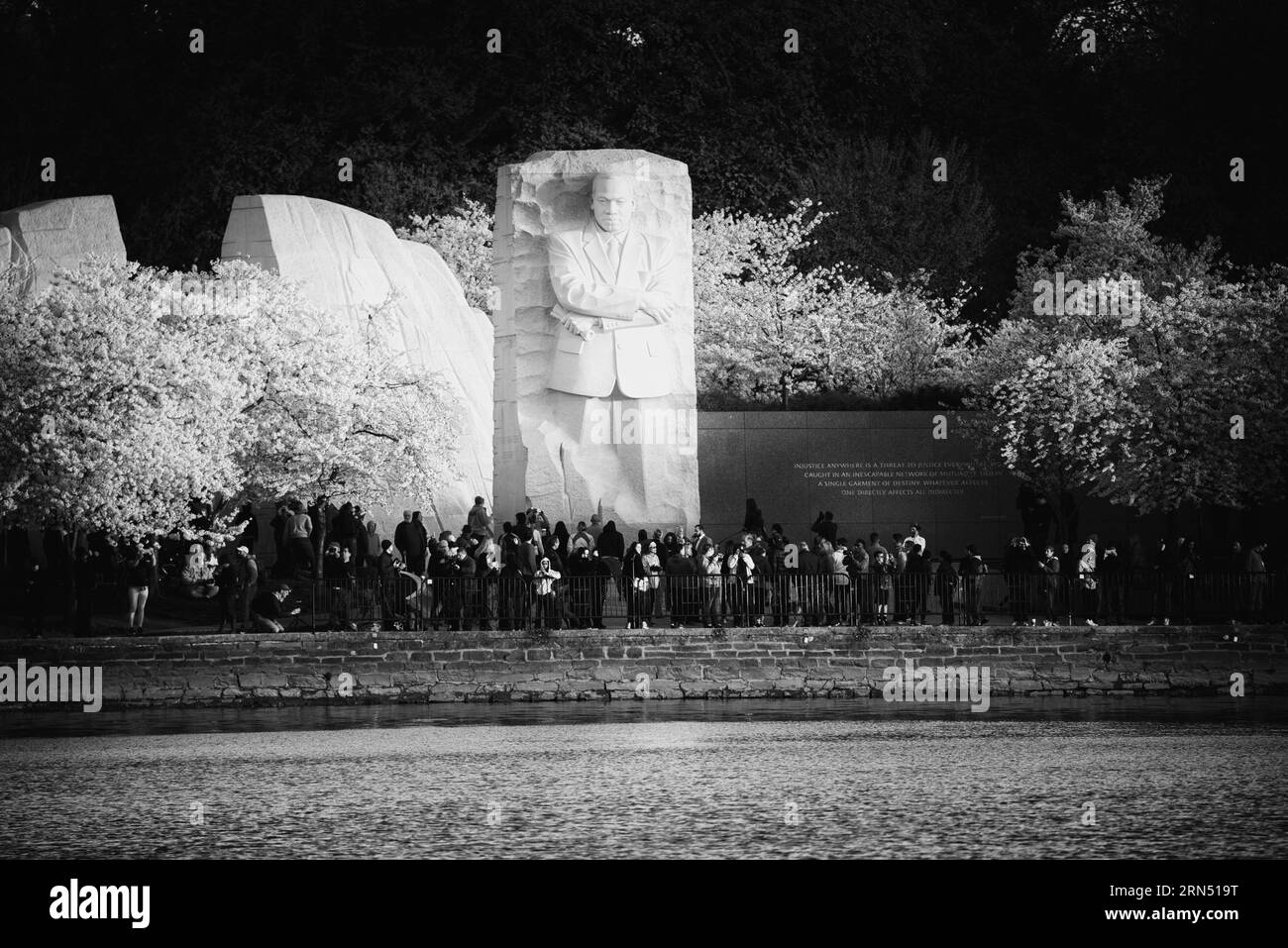 Cherry Blossoms e il Martin Luther King Jr. Memorial, Tidal Basin, Washington, D.C. Fotografia in bianco e nero che mostra il monumento dietro una folla di visitatori e alberi in fiore. Foto Stock