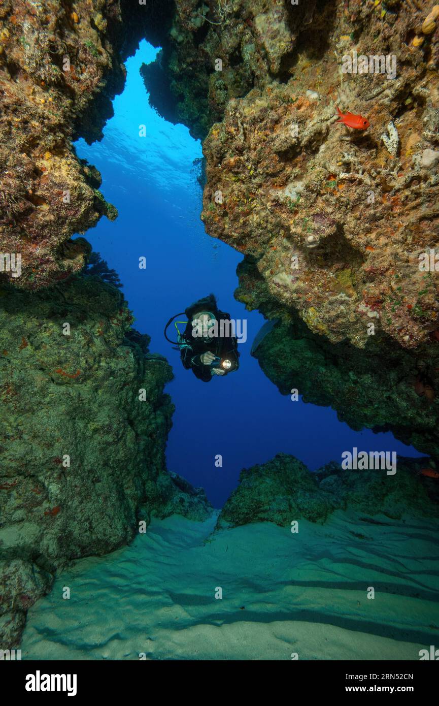 Tuffati nuotando attraverso il tunnel di roccia corallina nella barriera corallina, Oceano Pacifico, Isola Yap, Isole Caroline, Stati Federati di Micronesia Foto Stock
