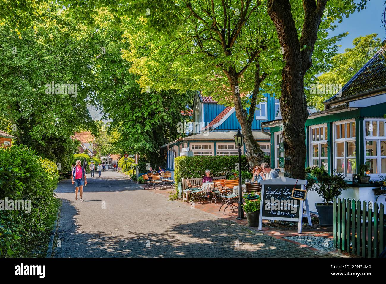 Strada principale nel centro del villaggio con verande tipiche e alberi alti, Spiekeroog, centro termale del Mare del Nord, isola del Mare del Nord, Isole Frisoni Orientali, più in basso Foto Stock