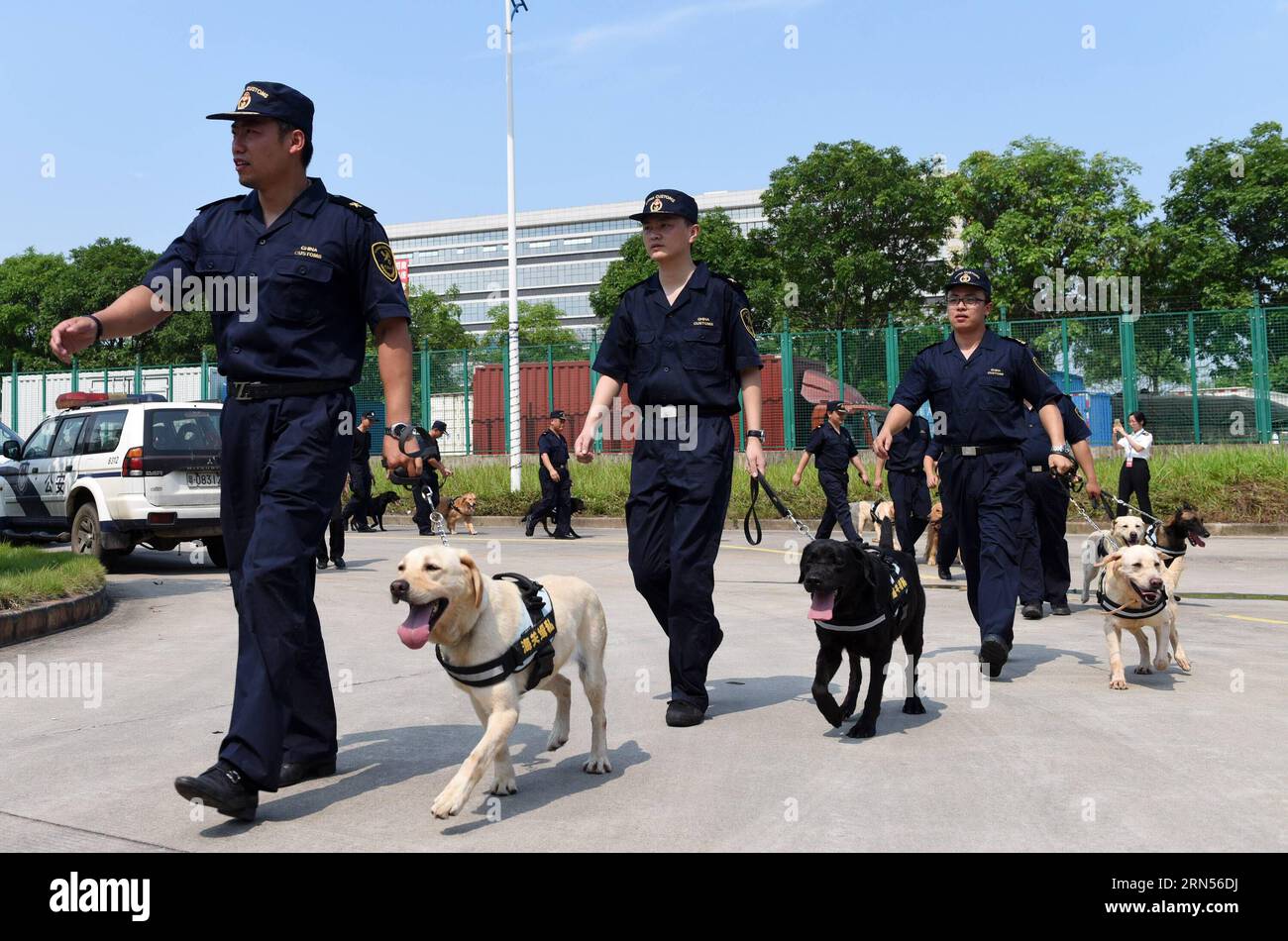 AKTUELLES ZEITGESCHEHEN Anti-Drogen-Kampagne im chinesischen Guangzhou (150615) -- GUANGZHOU, 15 giugno 2015 -- foto scattata il 15 giugno 2015 mostra cani da sniffer e i loro addestratori in una cerimonia di lancio di una campagna antidroga a Guangzhou, capitale della provincia del Guangdong della Cina meridionale. L'Amministrazione generale delle dogane della Cina e il governo provinciale del Guangdong hanno lanciato insieme una campagna antidroga su larga scala a Guangzhou lunedì. Questa campagna è mirata in particolare al crescente traffico di droghe sintetiche nel Guangdong, e 40 cani da sniffer sono stati convocati in tutto il mondo Foto Stock