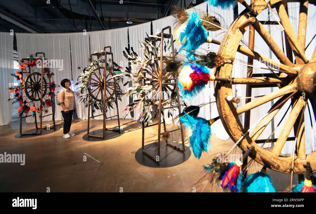 Korean Woman looking at a Korean artwork, Biennale 2023, Gwangju, Jeollanam-do Province, Corea del Sud Foto Stock