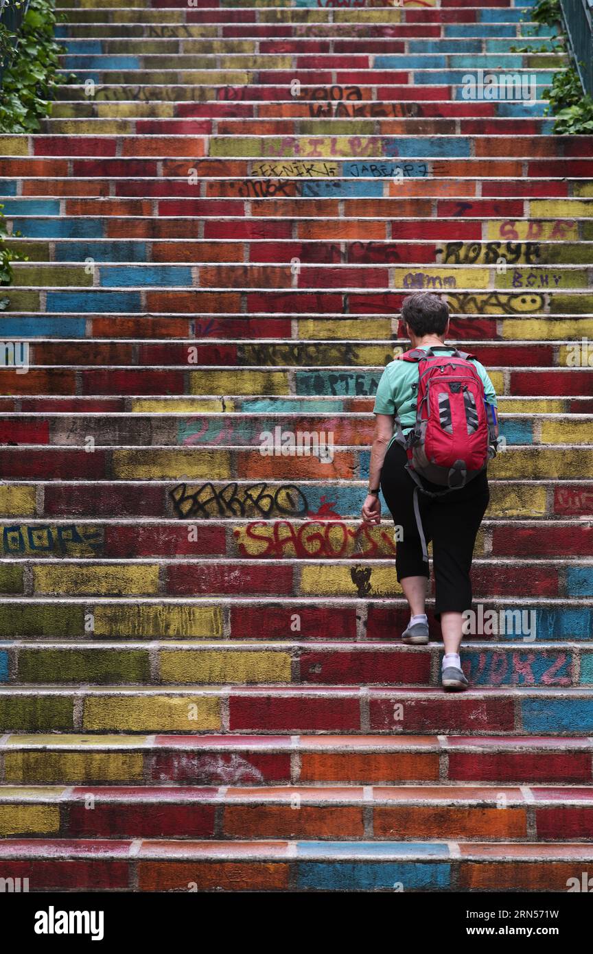 Scala colorata, donna anziana con scalini a zaino, città vecchia, Lione, dipartimento Rodano, regione Auvergne-Rodano-Alpi, Francia Foto Stock