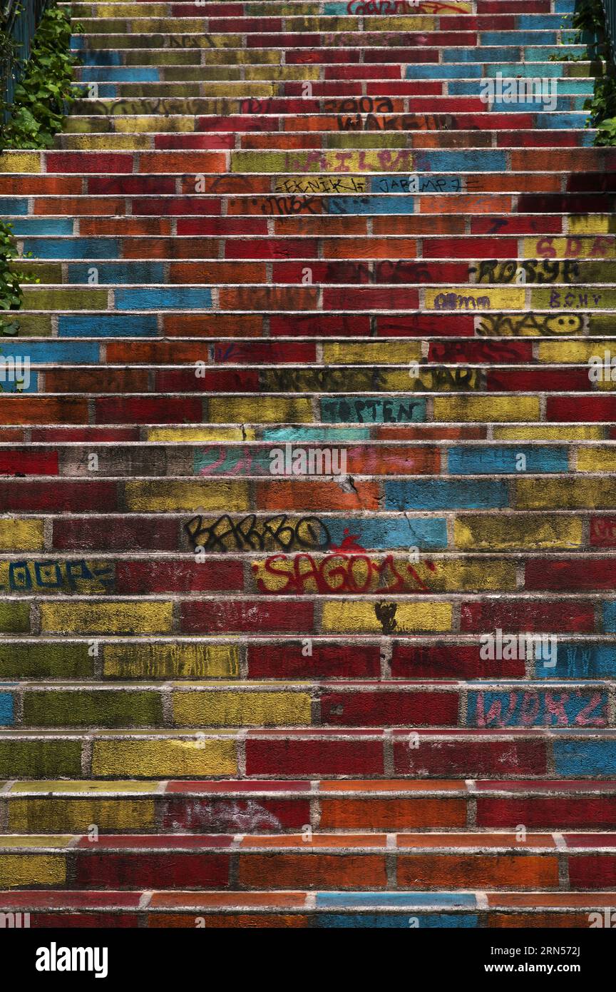 Scala colorata, città vecchia, Lione, dipartimento Rodano, regione Auvergne-Rodano-Alpi, Francia Foto Stock