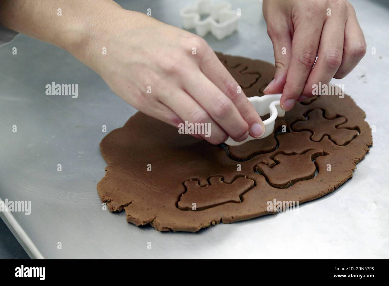 SAN JOSE, giugno 2015 -- Uno studente di ingegneria alimentare dell'Università della Costa Rica lavora in un progetto per produrre biscotti nutrienti utilizzando insetti come ingrediente principale, a San Jose, capitale della Costa Rica, il 16 giugno 2015. Secondo la stampa locale, al fine di alleviare la malnutrizione tra i bambini del nord della Costa Rica e di Haiti, gli allievi svilupparono alcuni biscotti fatti con farina di cricket e purè di patate dolci, così chiamate Cricketa, e con una miscela essiccata di farina di banana e larve dello scarabeo Tenebrio molitor detto Molibannann . Entrambi i prodotti saranno finalisti nell'interno Foto Stock