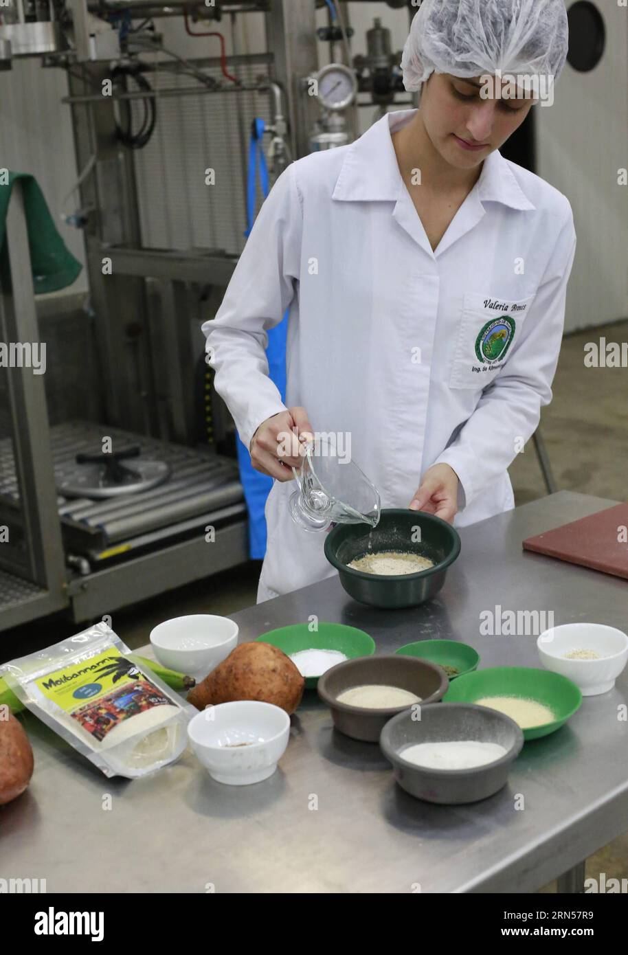 (150617) -- SAN JOSE, 17 giugno 2015 -- immagine scattata il 12 giugno 2015 mostra uno studente di ingegneria alimentare dell'Università della Costa Rica che lavora in un progetto per produrre biscotti nutrienti utilizzando insetti come ingrediente principale, a San Jose, capitale della Costa Rica. Secondo la stampa locale, al fine di alleviare la malnutrizione tra i bambini del nord della Costa Rica e di Haiti, gli allievi svilupparono alcuni biscotti fatti con farina di cricket e purè di patate dolci, così chiamate Cricketa, e con una miscela essiccata di farina di banana e larve dello scarabeo Tenebrio molitor detto Molibannann . Entrambi pro Foto Stock