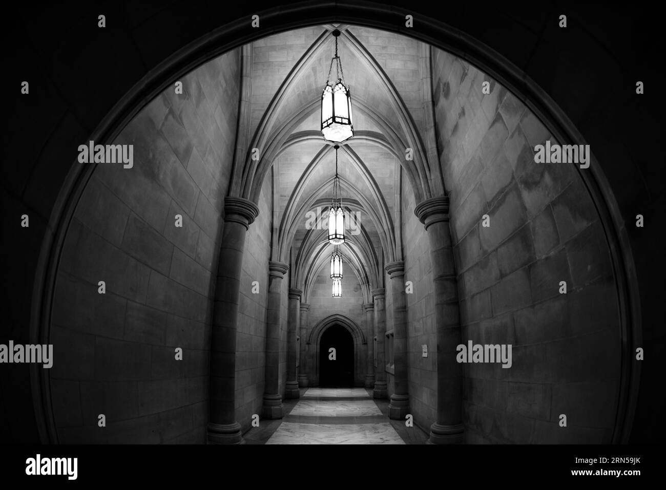 WASHINGTON, DC - un soffitto gotico ad arco nel corridoio nella cripta della Washington National Cathedral. La Washington National Cathedral è una chiesa episcopale situata a Washington DC ed è il luogo di molte delle principali chiese e dei servizi di ricordo di Washington DC. Progettata in stile neogotico, la sua costruzione è iniziata nel 1906, con lavori che proseguono nei decenni successivi. E' il secondo edificio della chiesa più grande degli Stati Uniti ed e' la quarta struttura piu' alta di Washington DC, una caratteristica enfatizzata dal sedersi su un punto alto che si affaccia sulla citta'. È conosciuto più meglio come Foto Stock