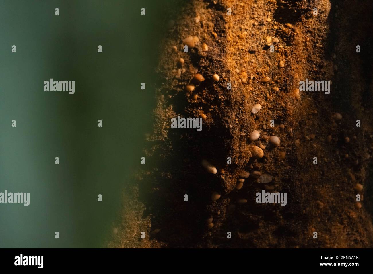 Immagine dello spazio di copia con motivo di sfondo naturale, risorse Web con texture Foto Stock