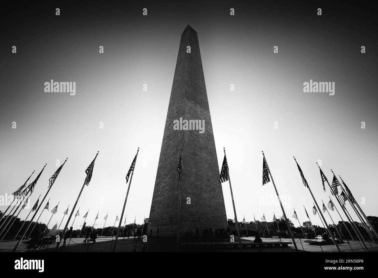 Monumento a Washington, Washington, D.C. Fotografia in bianco e nero che mostra l'obelisco da un angolo basso circondato da bandiere americane. Foto Stock
