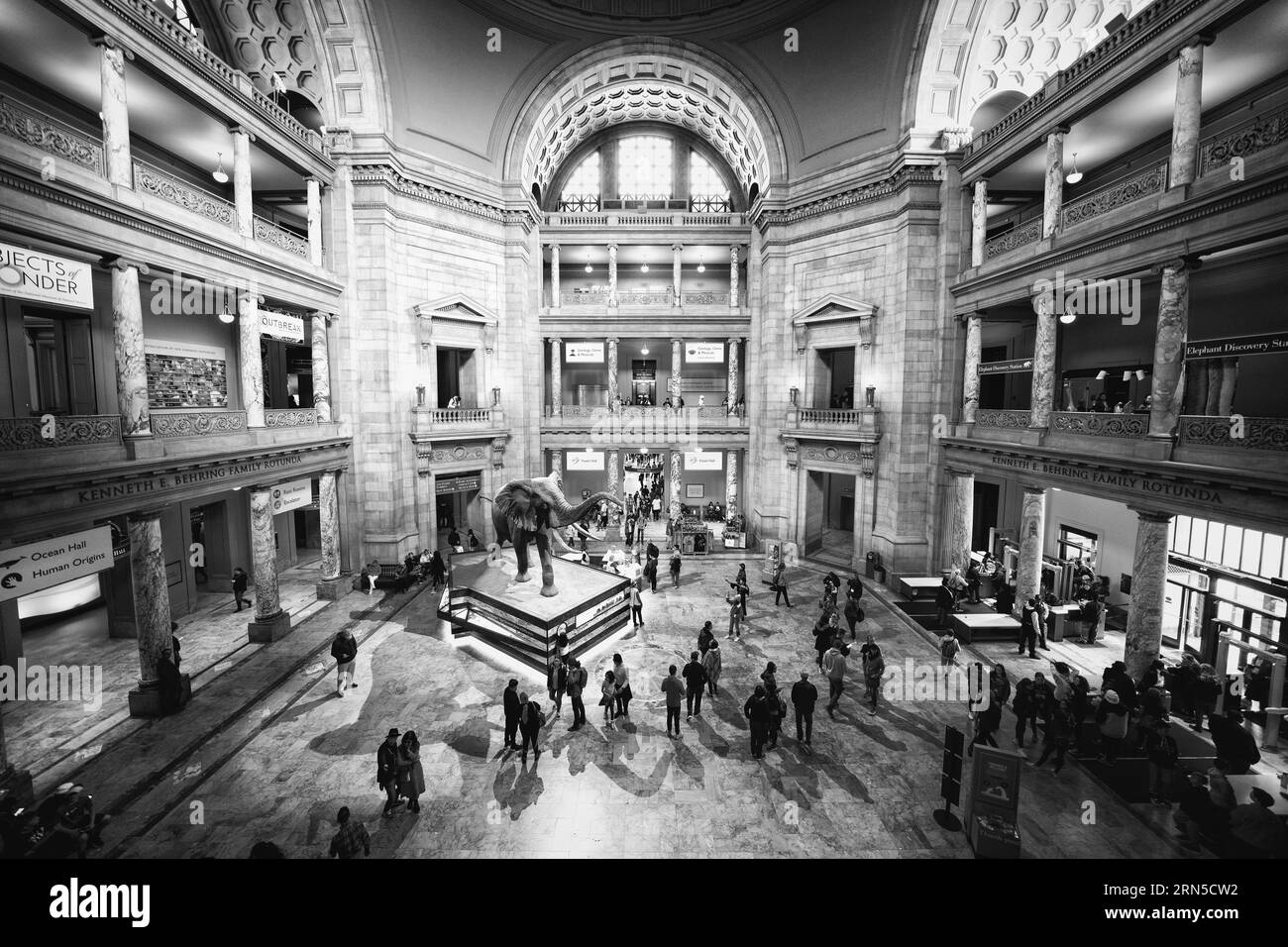 Sala principale, Museo Nazionale di Storia Naturale, Washington DC — Foto in bianco e nero | Sala principale, Museo Nazionale di Storia Naturale, Washington, D.C. Fotografia in bianco e nero che mostra l'architettura interna e una folla di visitatori che circondano una grande esposizione di elefanti. Foto Stock
