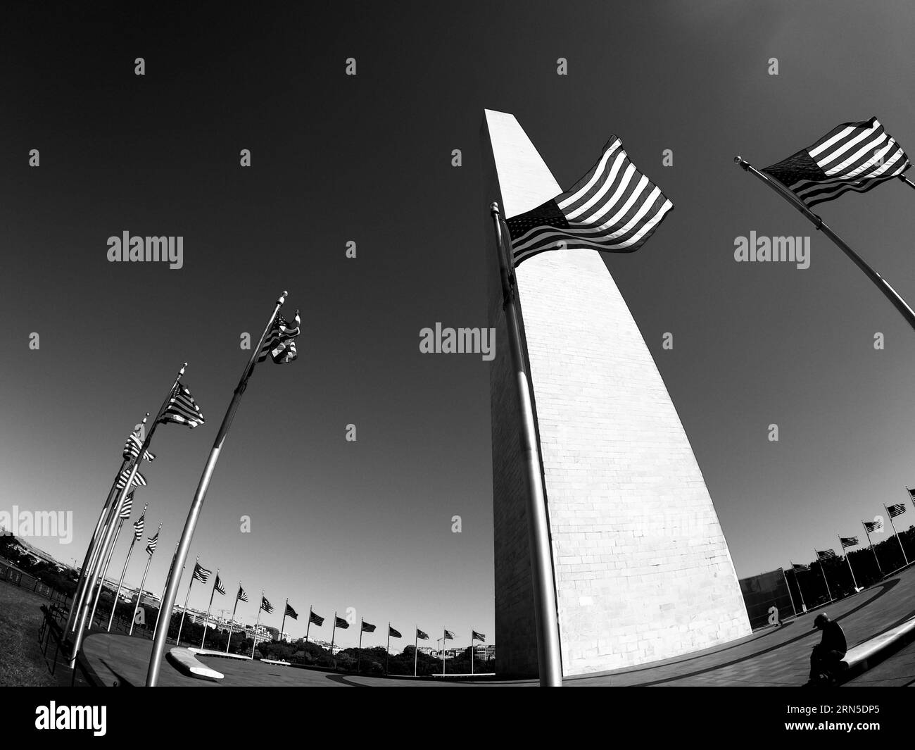 Monumento a Washington e bandiere, Washington, D.C. fotografia in bianco e nero che mostra un anello di bandiere intorno alla base del monumento, scattata da un angolo basso. Foto Stock