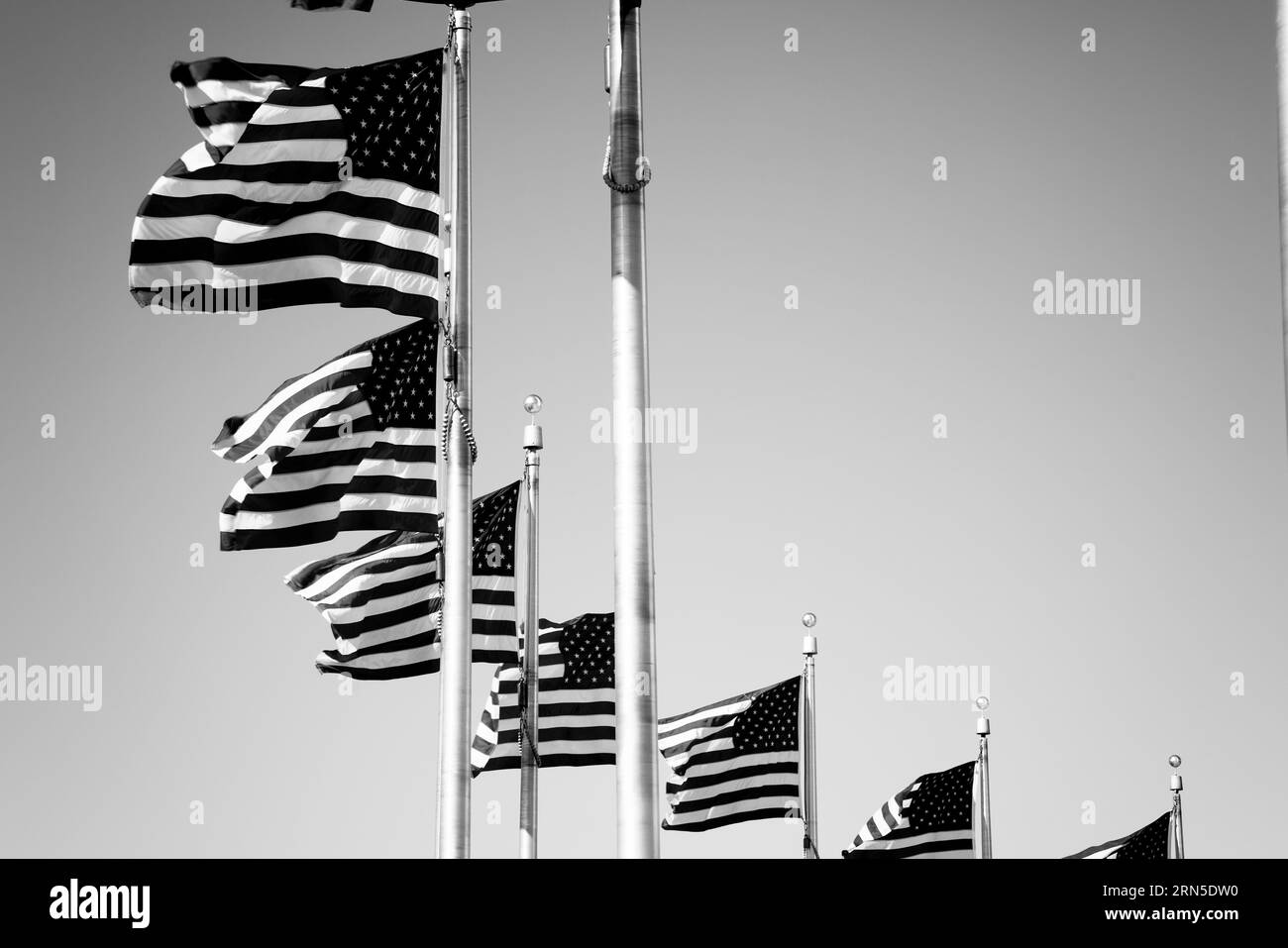 American Flags, Washington, DC Fotografia in bianco e nero che mostra le bandiere che sventolano dai loro pali contro un cielo luminoso. Foto Stock