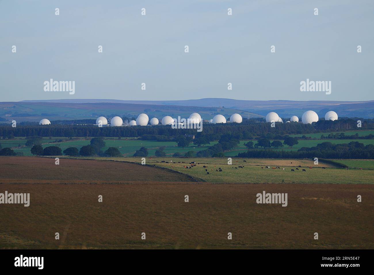 Stazione di ascolto RAF Menwith Hill vicino ad Harrogate, North Yorkshire Foto Stock