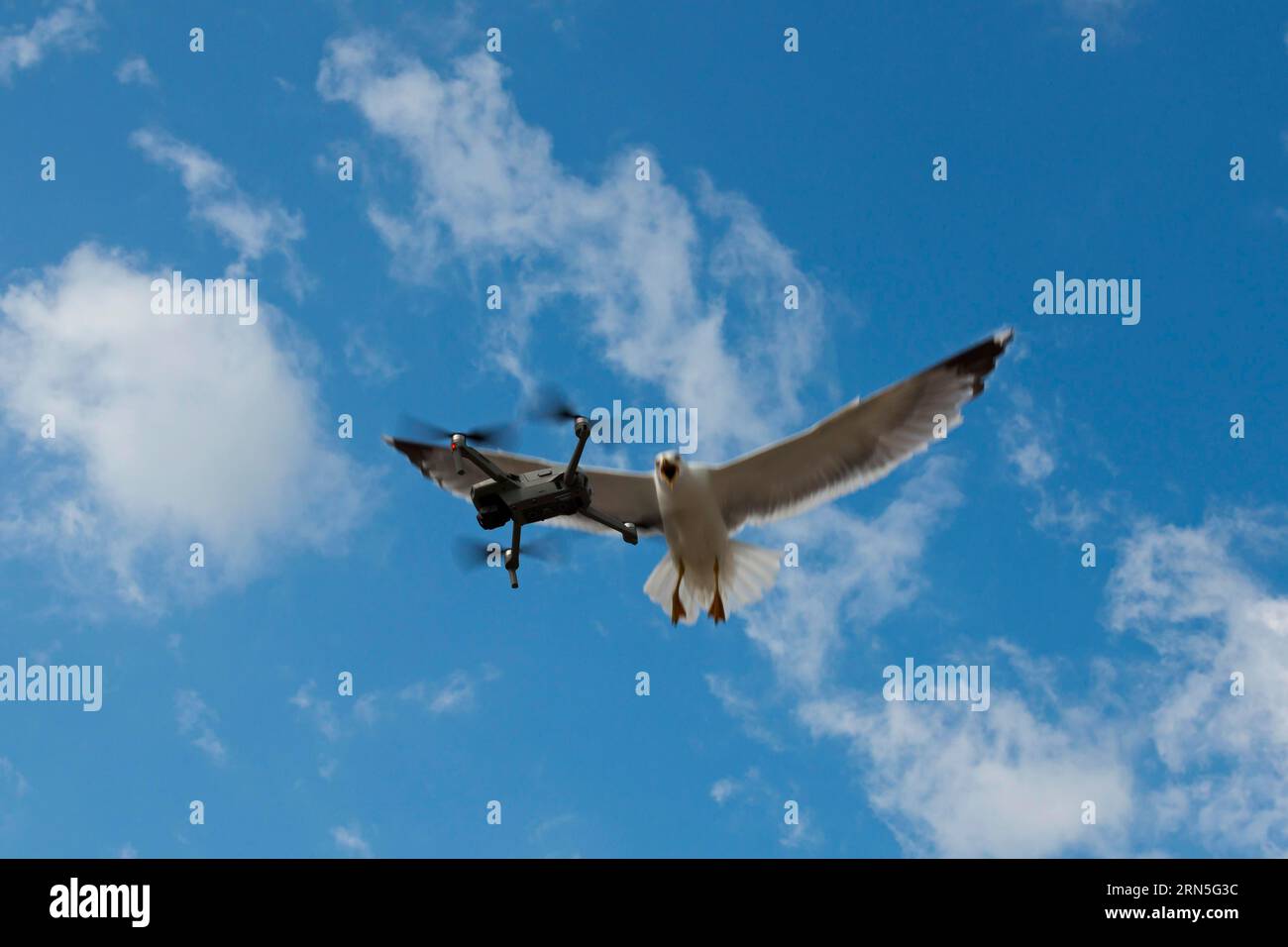 Funny drone immagini e fotografie stock ad alta risoluzione - Alamy