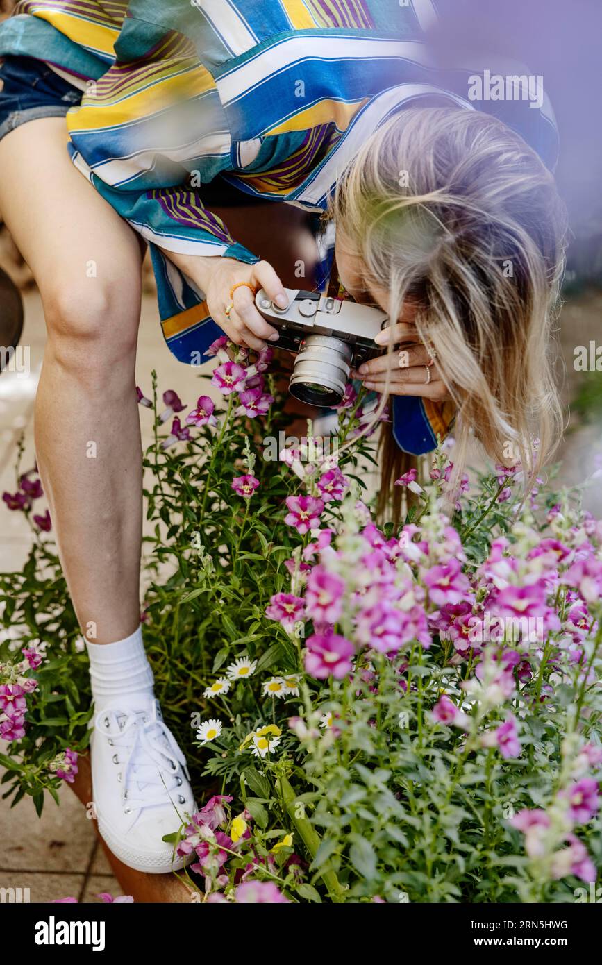 Germania, giovane donna che fotografa fiori in fiore in giardino, ritratto, macchina fotografica, fotografia, sorriso, giovane donna, bionda, caucasica, desiderio Foto Stock