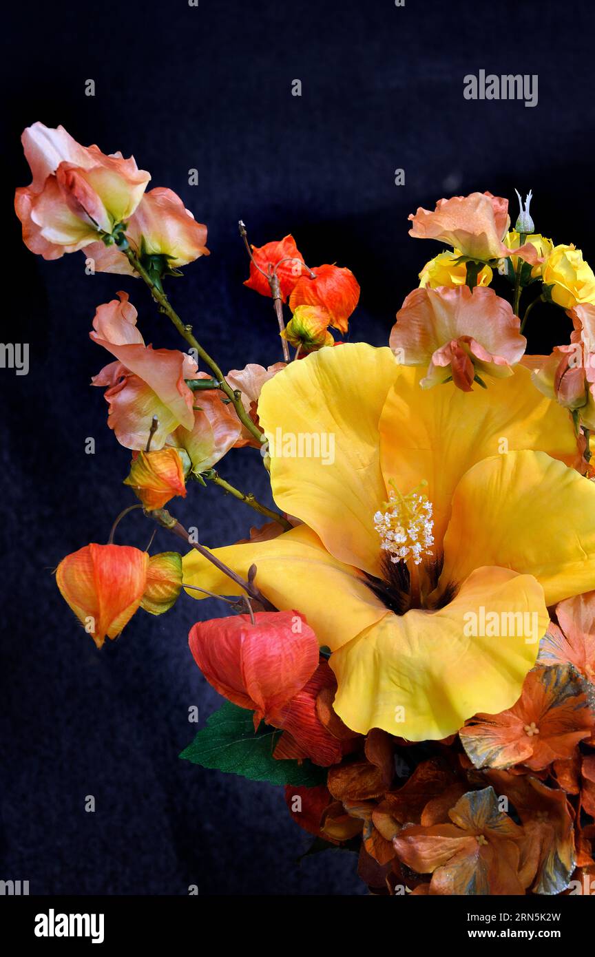 Fiori artificiali, hibiscus (Hibiscus), lanterna giapponese (Physalis alkekengi) e rose, Allgaeu, Baviera, Germania Foto Stock