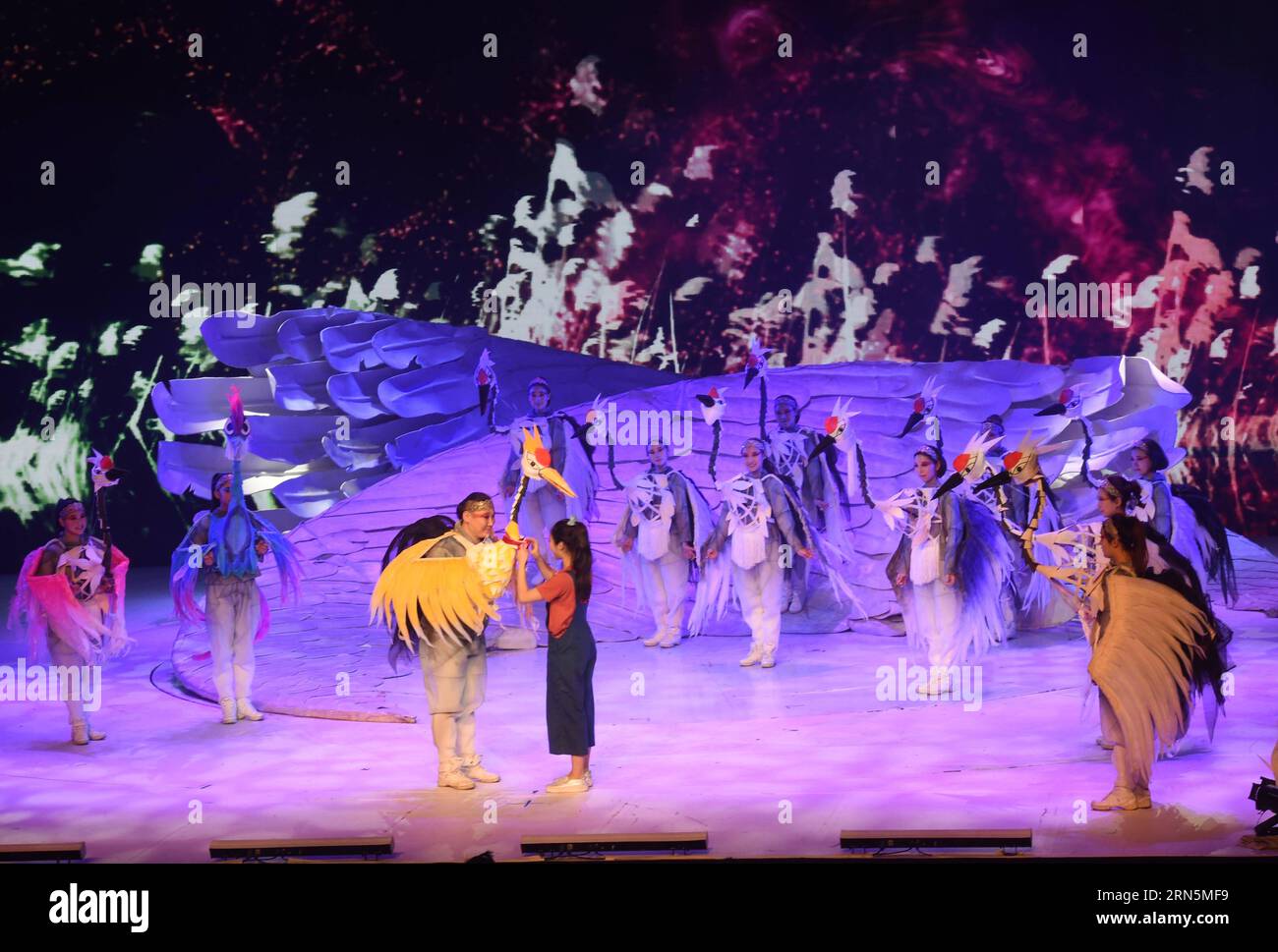 (150629) -- PECHINO, 29 giugno 2015 -- gli attori si esibiscono durante una conferenza stampa del dramma di marionette The Story of Red-Crown Crane a Pechino, capitale della Cina, 29 giugno 2015. Il dramma di marionette The Story of Red-Crown Crane , una straordinaria opera del China Puppet Art Theatre, sarà messo in scena al National Center for the Performing Arts dal 3 al 5 luglio. )(wjq) CHINA-BEIJING-PUPPPY PLAY-PRESS CONFERENCE (CN) LuoxXiaoguang PUBLICATIONxNOTxINxCHN 150629 Pechino giugno 29 2015 gli attori si esibiscono durante una conferenza stampa del Puppet Play The Story of Red Crown Crane a Pechino capitale del Chin Foto Stock