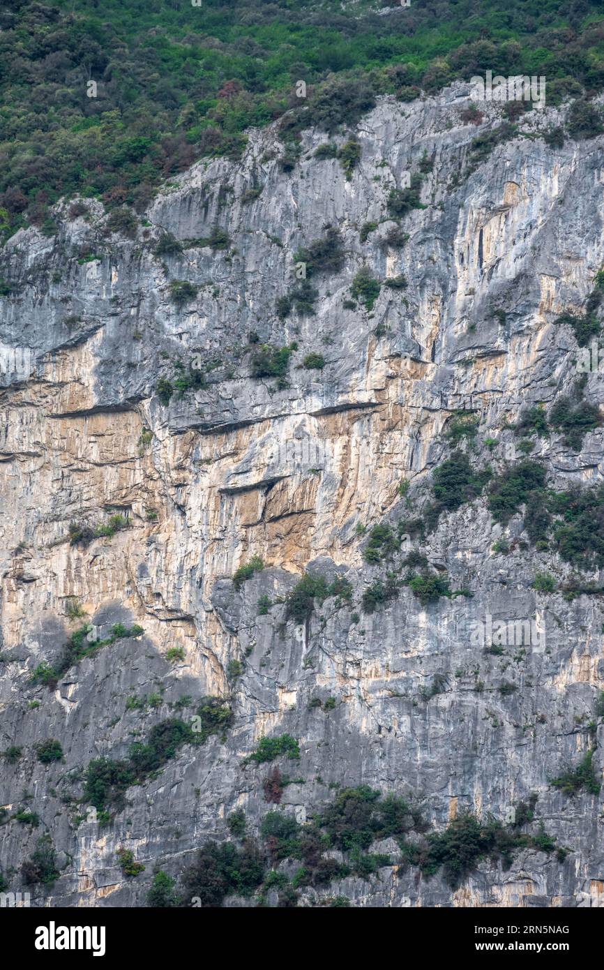 Faccia di leone in roccia, Garda Mountains, Arco, Trentino-alto Adige, Italia Foto Stock