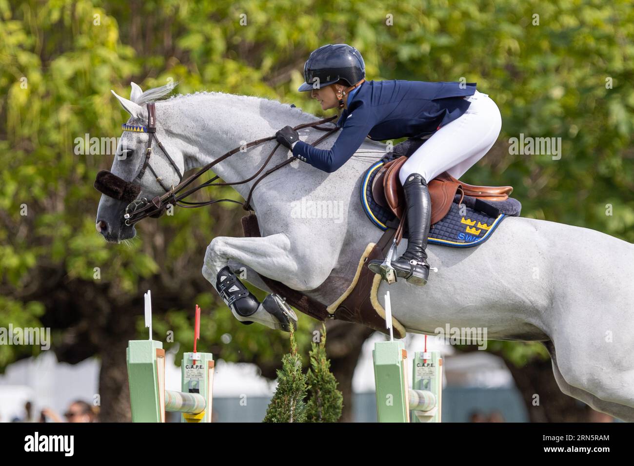 Milano, Italia. 31 agosto 2023. HELLSTROM Wilma di Svezia in sella a Cicci Bjn durante il Campionato europeo di salto FEI 2023, evento equestre il 30 agosto 2023 all'ippodromo Snai San Siro di Milano, Italia durante il Campionato europeo di salto 2023, gara equestre internazionale a Milano, Italia, agosto 31 2023 credito: Agenzia fotografica indipendente/Alamy Live News Foto Stock