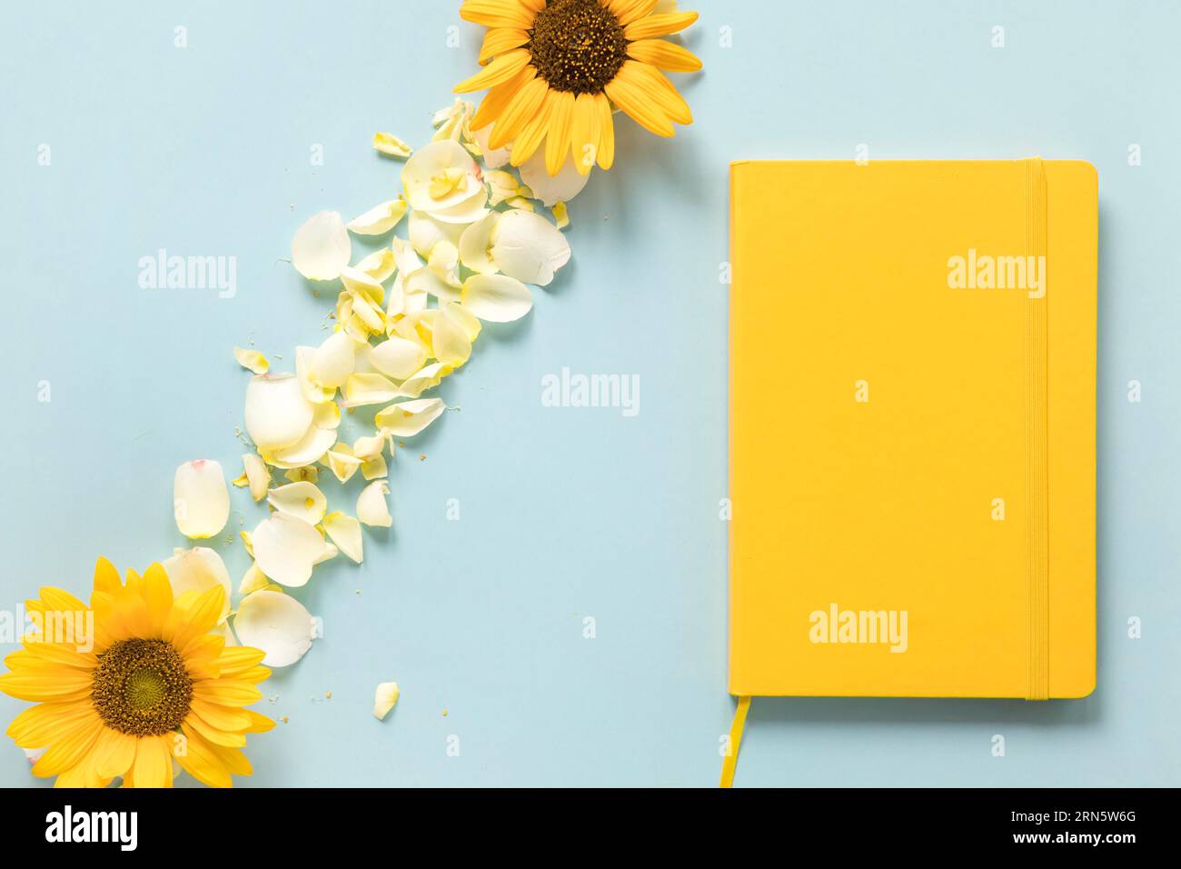 Diario giallo vicino ai petali di girasoli sfondo blu Foto Stock