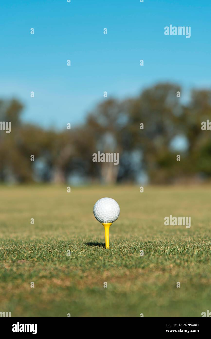 Campo da golf ad alto angolo Foto Stock