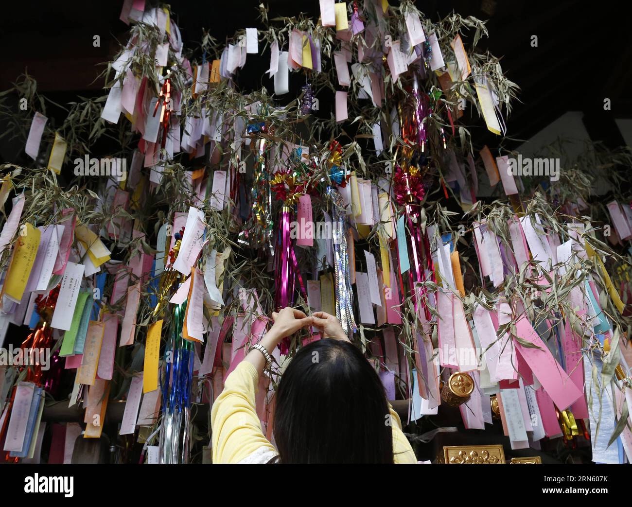 (150707) -- TOKYO, 7 luglio 2015 -- Una donna lega una striscia di carta con il suo desiderio di un bambù per il Tanabata Festival, o Star Festival, in un santuario di Tokyo, in Giappone, 7 luglio 2014. Ogni anno i giapponesi celebrano il tradizionale Star Festival il 7 luglio. ) (Zjy) JAPAN-TOKYO-TANABATA FESTIVAL Stringer PUBLICATIONxNOTxINxCHN 150707 Tokyo 7 luglio 2015 una donna lega una striscia di carta con il suo desiderio di un bambù per il Tanabata Festival o Star Festival IN un santuario di Tokyo Giappone 7 luglio 2014 ogni anno il giapponese celebra IL tradizionale Star Festival IL 7 luglio zjy Japan Tokyo Tanabata Festival Stringer PUBLIC Foto Stock