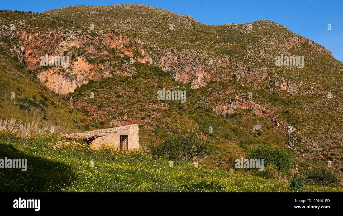 Prato primaverile, fiori gialli, capanna in pietra, collina, Zingaro, parco nazionale, riserva naturale, nord-ovest, Sicilia, Italia Foto Stock