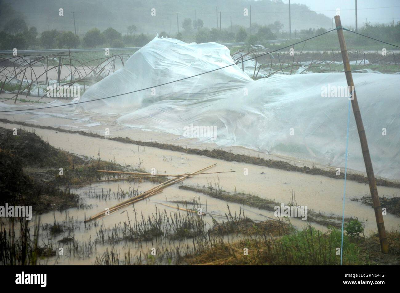 (150711) -- ZHOUSHAN, 11 luglio 2015 -- forti venti spazzano via una casa verde a Zhoushan, nella provincia di Zhejiang nella Cina orientale, 11 luglio 2015. Il tifone Chan-Hom, il nono tifone di quest'anno, è atterrato alle 16:40, nella cittadina di Zhujiajian del distretto di Putuo nell'isola di Zhoushan, con venti fino a 45 metri al secondo, secondo la stazione meteorologica provinciale. )(mcg) CHINA-ZHEJIANG-TYPHOON CHAN-HOM-LANDFALL (CN) HuxSheyou PUBLICATIONxNOTxINxCHN 150 711 Zhou Shan 11 luglio 2015 forti venti spazzano una casa verde a Zhou Shan nella provincia di Zhejiang 11 luglio 2015 Typhoon Chan Hom The N Foto Stock