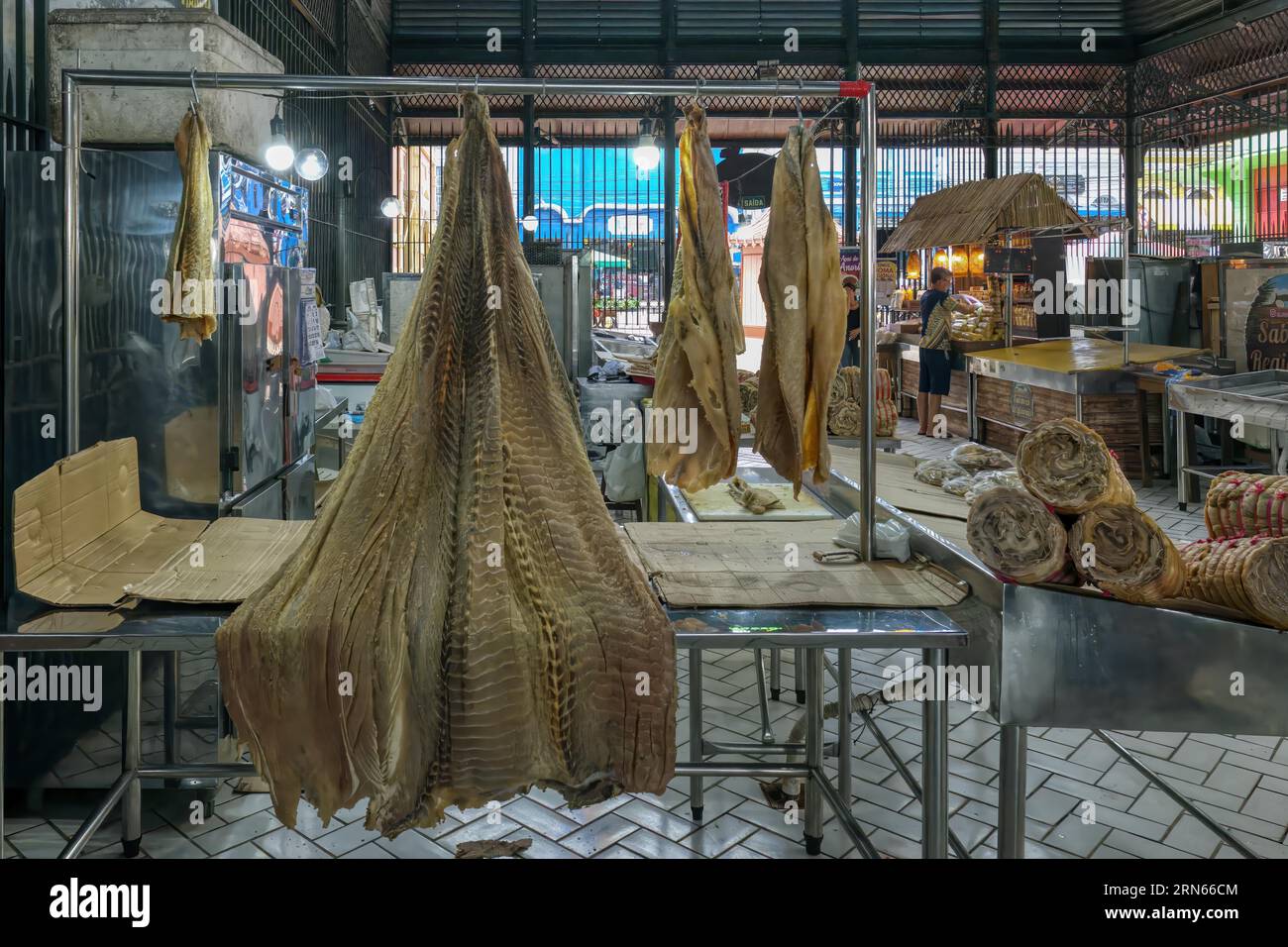 Pesce pirarucu gigante o pesce (arapaima gigas) appeso nella sezione del mercato del pesce, mercato Adolpho Lisboa, Manaus, stato dell'Amazzonia, Brasile Foto Stock