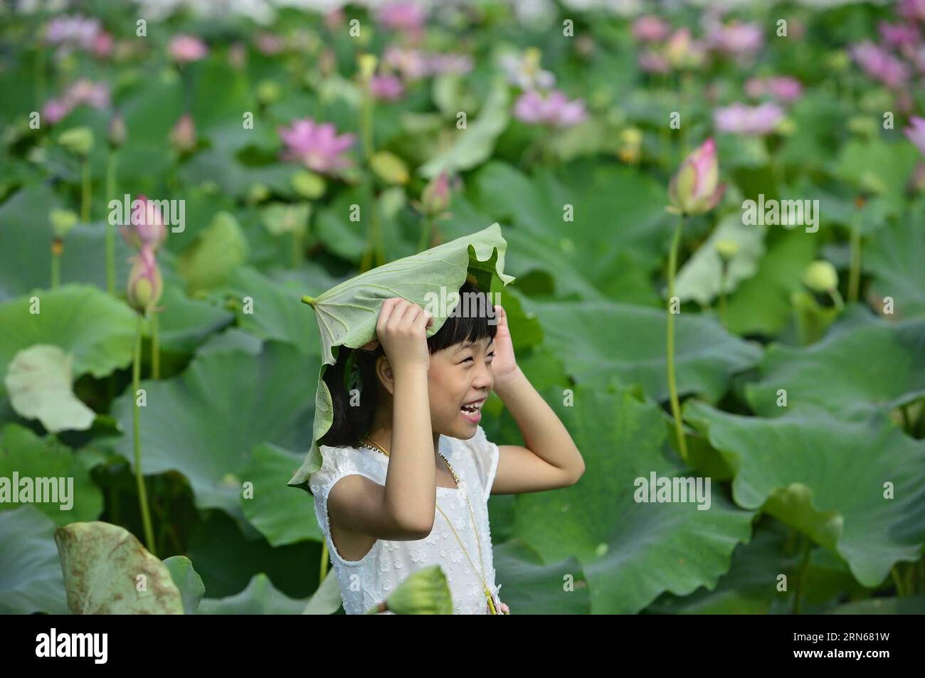 Un bambino mette una foglia di loto sulla testa nel villaggio Yaoxi della contea di Guangchang, nella provincia del Jiangxi della Cina orientale, 14 luglio 2015. Yaoxi Village, che ha più di 1.300 anni di storia nella piantagione di loto, ha 90.000 mu (6.000 ettari) di area di impianto con produzione annuale in grado di raggiungere 540 milioni di yuan (87 milioni di dollari USA). (lfj) CHINA-JIANGXI-YAOXI-LOTUS (CN) ZhouxMi PUBLICATIONxNOTxINxCHN un bambino mette una foglia di loto SULLA testa nel villaggio di Yaoxi nella contea di Guangchang nella provincia di Jiangxi della Cina orientale 14 luglio 2015 il villaggio di Yaoxi che ha più di 1 300 anni di storia nella piantagione di Lotus ne ha 90 0 Foto Stock