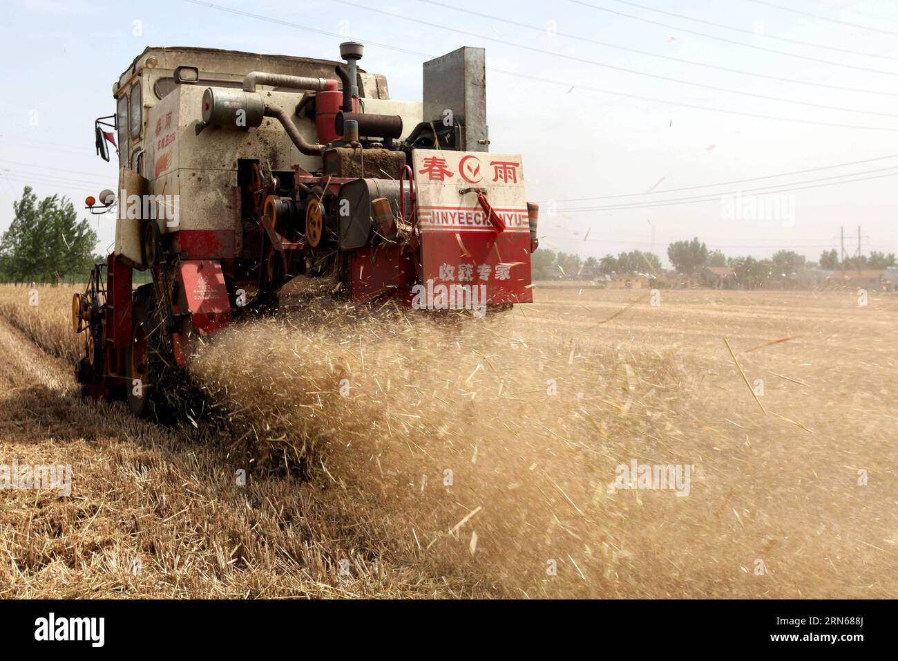 In questa foto scattata il 6 giugno 2015, i raccoglitori raccolgono il grano nella città di Zaozhuang, nella provincia dello Shandong della Cina orientale. La Cina ha prodotto 141,066 milioni di tonnellate metriche di colture estive, in aumento del 3,3% rispetto allo scorso anno, secondo i dati pubblicati dal National Statistics Bureau il 15 luglio 2015. ) (lfj) CHINA-2015 SUMMER CROPS-YIELD (CN) SunxZhongzhe PUBLICATIONxNOTxINxCHN in questo file foto scattata IL 6 giugno 2015 i raccoglitori raccolgono il grano nella città di Zaozhuang nella provincia di Shan Dong della Cina orientale in Cina ha prodotto 141 066 milioni di raccolti metrici del tono estivo in aumento del 3 3% rispetto all'anno di carico secondo i dati rilasciati da Foto Stock