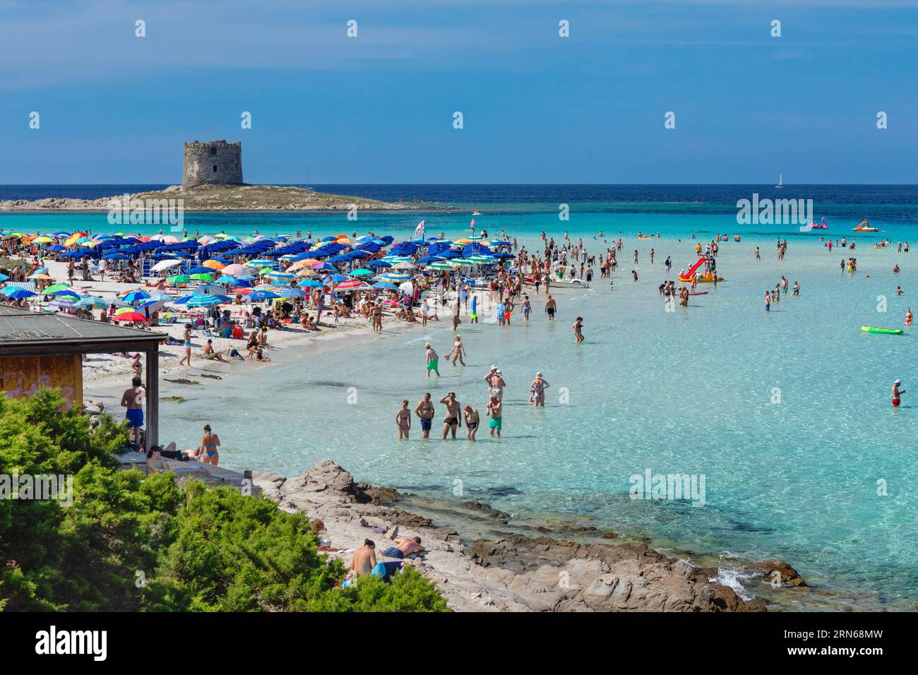 Spiaggia la Pelosa, Golfo dell'Asinara, Stintino, Provincia di Sassari, Sardegna, Italia, Stintino, Sardegna, Italia Foto Stock