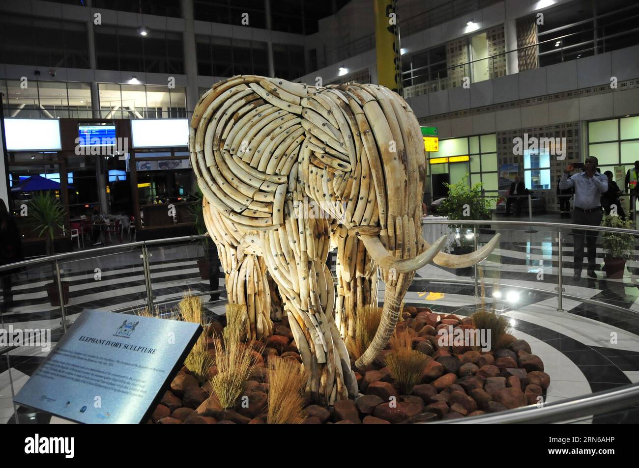(150717) -- GABORONE, - foto scattata il 16 luglio 2015 mostra una scultura in avorio all'aeroporto internazionale Sir Seretse Khama, a Gaborone, Botswana. Giovedì il presidente del Botswana Seretse Khama Ian Khama ha svelato la scultura in avorio recuperata da elefanti morti in natura per dimostrare la posizione del Botswana nella protezione delle risorse naturali. BOTSWANA-GABORONE-IVORY SCULPTURE-UNVEILING LyuxTianran PUBLICATIONxNOTxINxCHN 150717 Gaborone foto scattata IL 16 luglio 2015 mostra alla scultura avorio PRESSO L'Aeroporto Internazionale Sir SERETSE Khama di Gaborone Botswana Presidente del Botswana SERETSE Kham Foto Stock