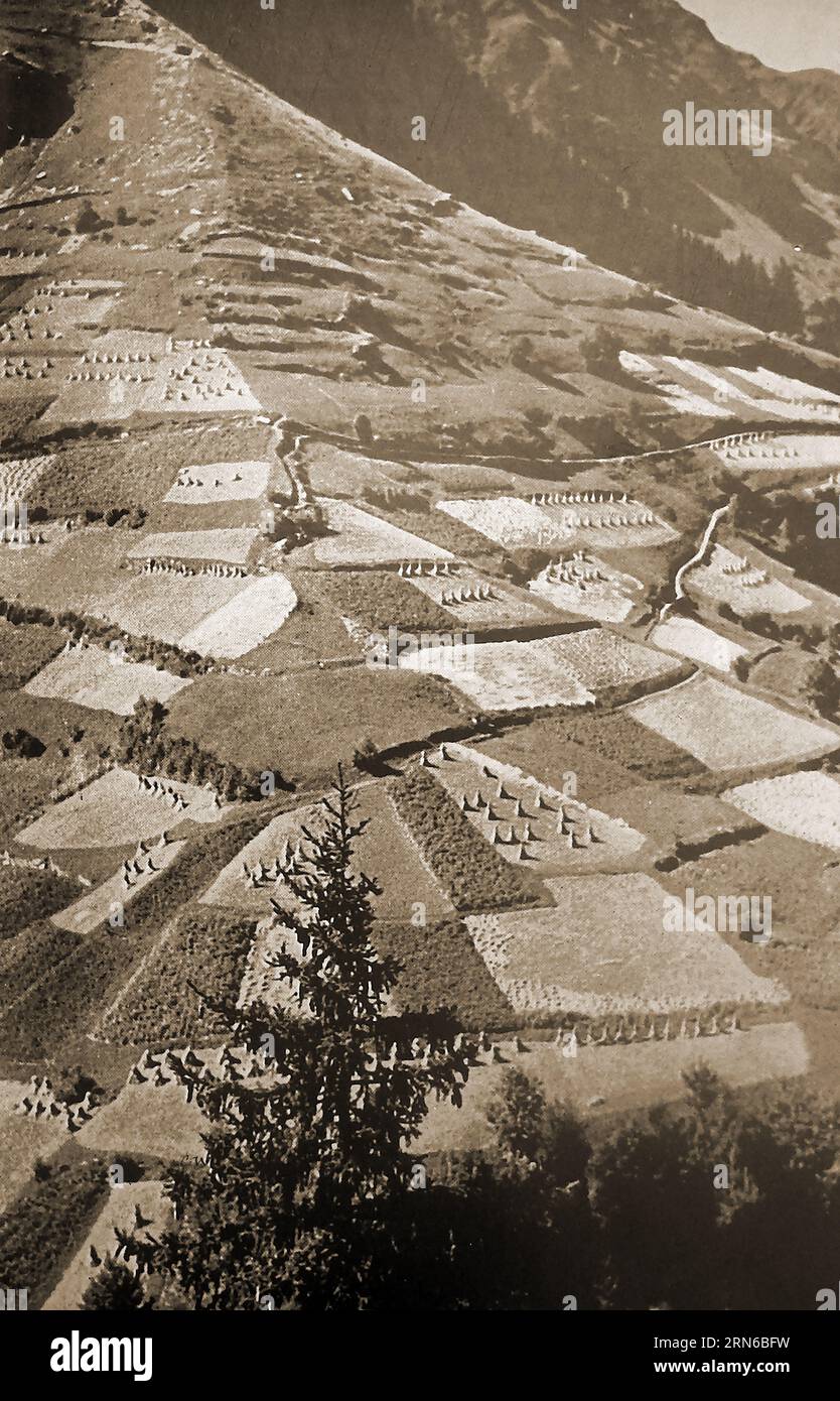 Francia 1939 - Un patchwork di Savoia campi con ricci di fieno - Francia 1939 - un patchwork de champs savoyards avec des meules de foin - Foto Stock