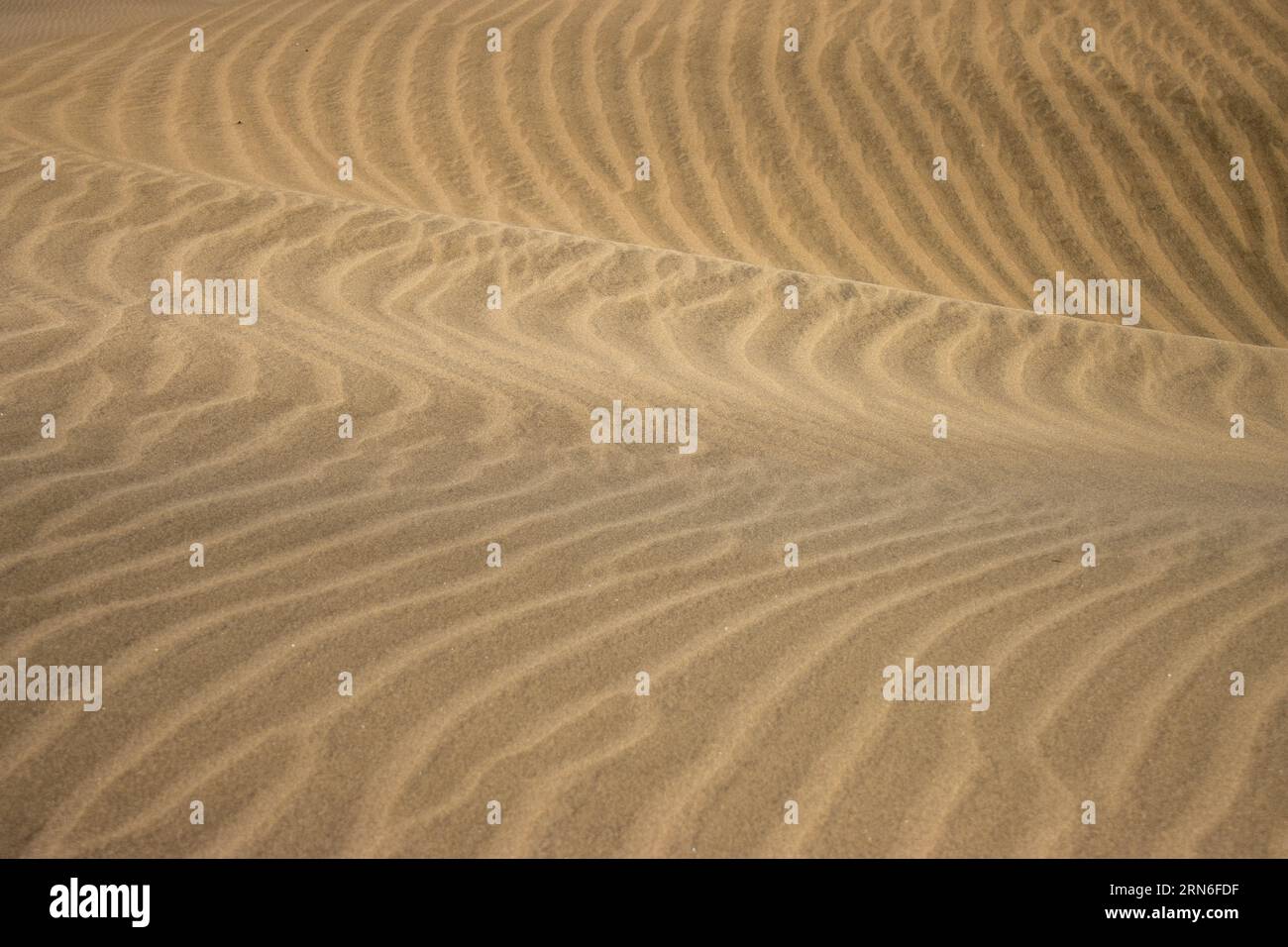 Texturas en Maspalomas. Las dunas están vivas y se mueven. EN realidad, el aire lleva la arena de un lugar a otro y les da diferentes formas. Gran CAN Foto Stock