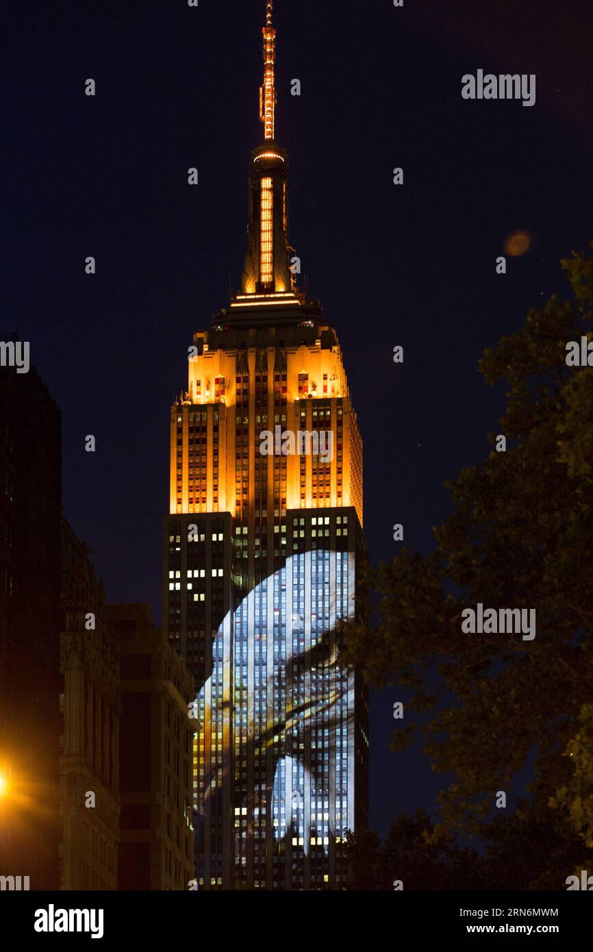 (150802) -- NEW YORK, - proiezioni di luce digitali delle specie a rischio di estinzione del mondo sono visibili sulla facciata sud dell'Empire State Building nel quartiere di Manhattan, New York City, Stati Uniti, 1 agosto 2105. L'edificio storico Empire State Building risplende brillantemente con proiezioni di luce digitale delle specie a rischio di estinzione del mondo sabato sera. Lo spettacolo è stato pubblicizzato come una proiezione video live unica nel suo genere e mirava a sensibilizzare gli animali a rischio di essere persi per sempre. L'esposizione, un progetto ideato dal regista Louie Psihoyos, mostrava un rullo avvolgente di animali in via di estinzione Foto Stock