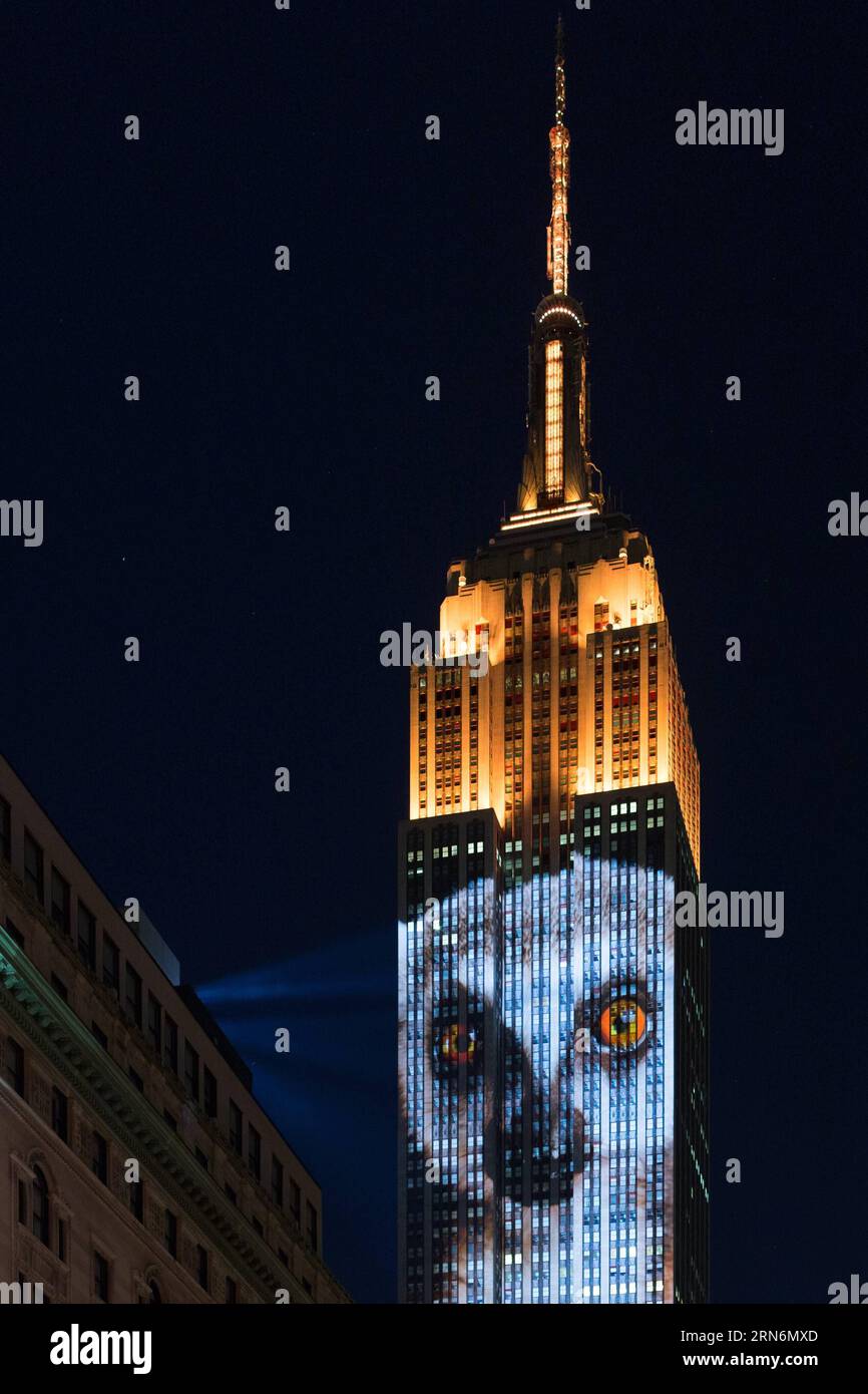 (150802) -- NEW YORK, - proiezioni di luce digitali delle specie a rischio di estinzione del mondo sono visibili sulla facciata sud dell'Empire State Building nel quartiere di Manhattan, New York City, Stati Uniti, 1 agosto 2105. L'edificio storico Empire State Building risplende brillantemente con proiezioni di luce digitale delle specie a rischio di estinzione del mondo sabato sera. Lo spettacolo è stato pubblicizzato come una proiezione video live unica nel suo genere e mirava a sensibilizzare gli animali a rischio di essere persi per sempre. L'esposizione, un progetto ideato dal regista Louie Psihoyos, mostrava un rullo avvolgente di animali in via di estinzione Foto Stock